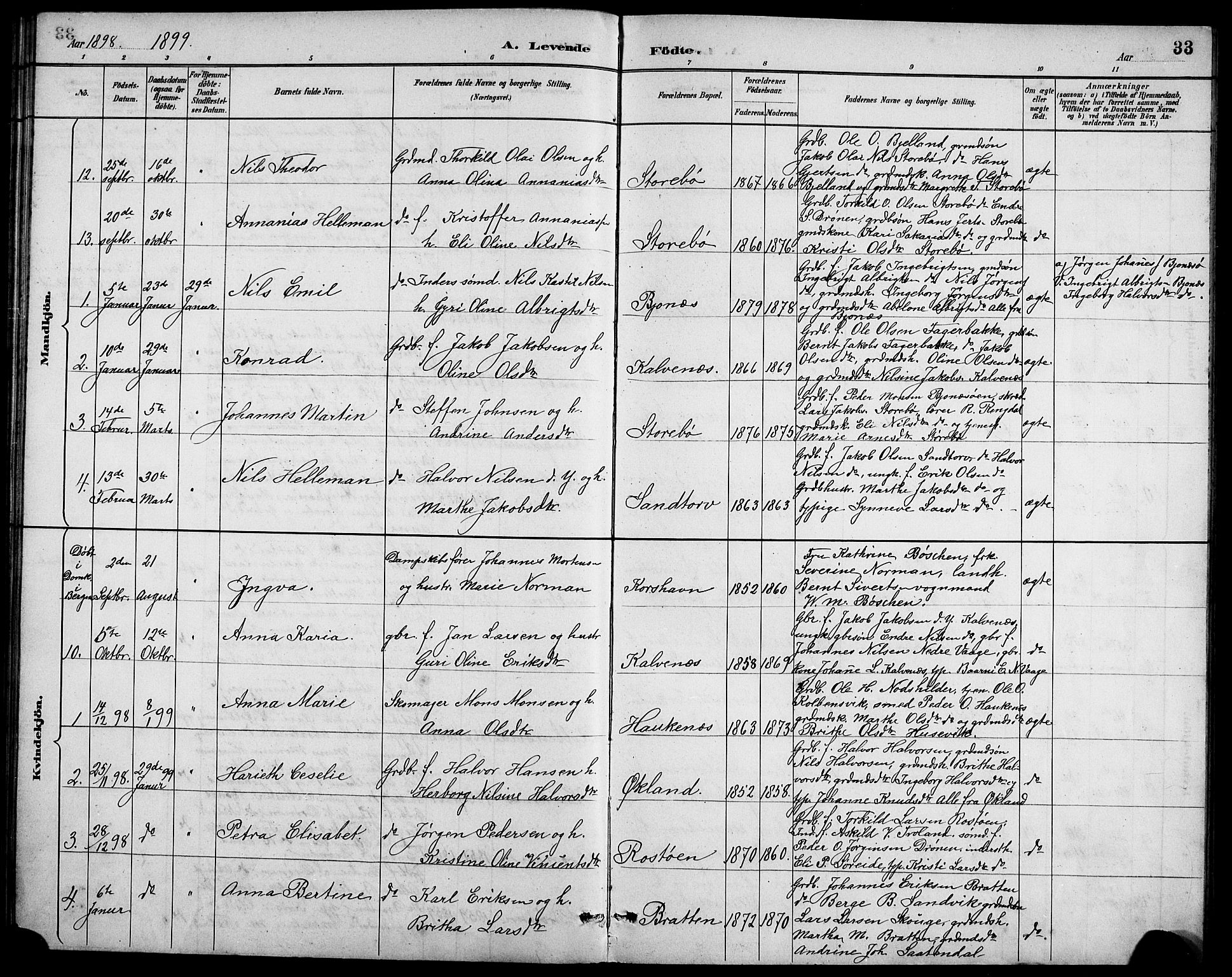 Austevoll Sokneprestembete, SAB/A-74201/H/Hab: Parish register (copy) no. A 3, 1889-1900, p. 33