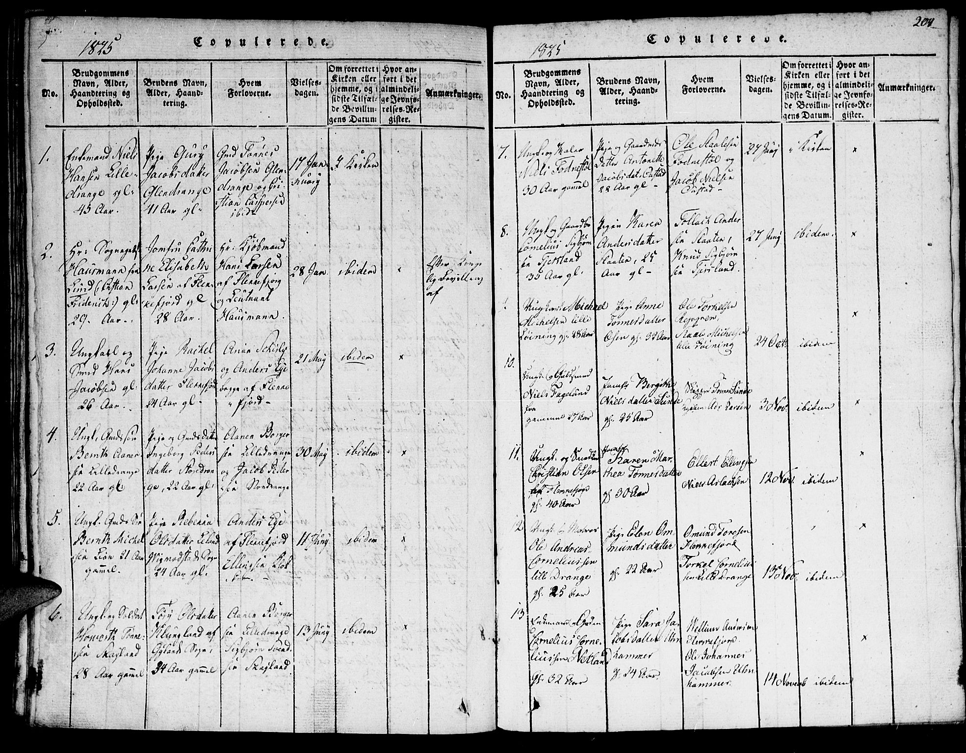 Flekkefjord sokneprestkontor, SAK/1111-0012/F/Fa/Fac/L0002: Parish register (official) no. A 2, 1815-1826, p. 204