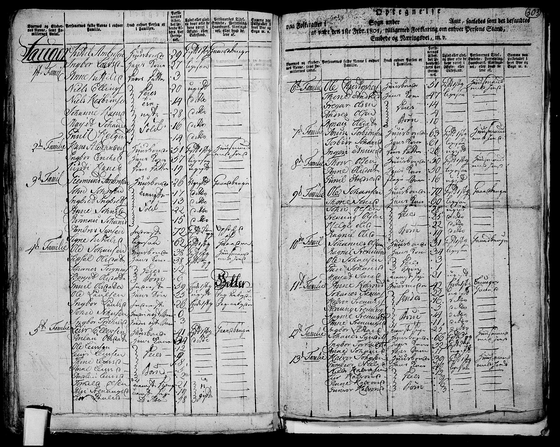 RA, 1801 census for 0823P Heddal, 1801, p. 302b-303a