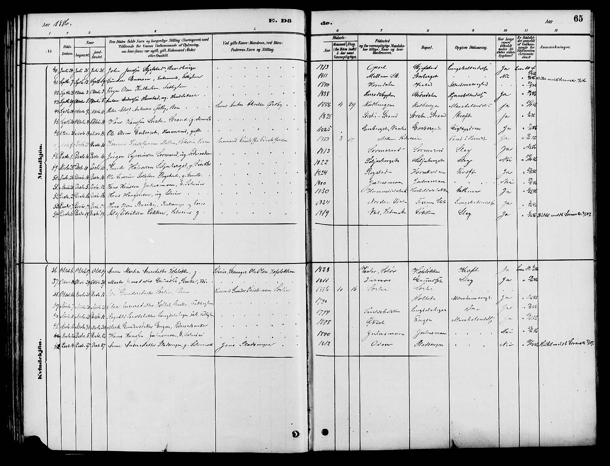 Elverum prestekontor, AV/SAH-PREST-044/H/Ha/Haa/L0012: Parish register (official) no. 12, 1880-1893, p. 65