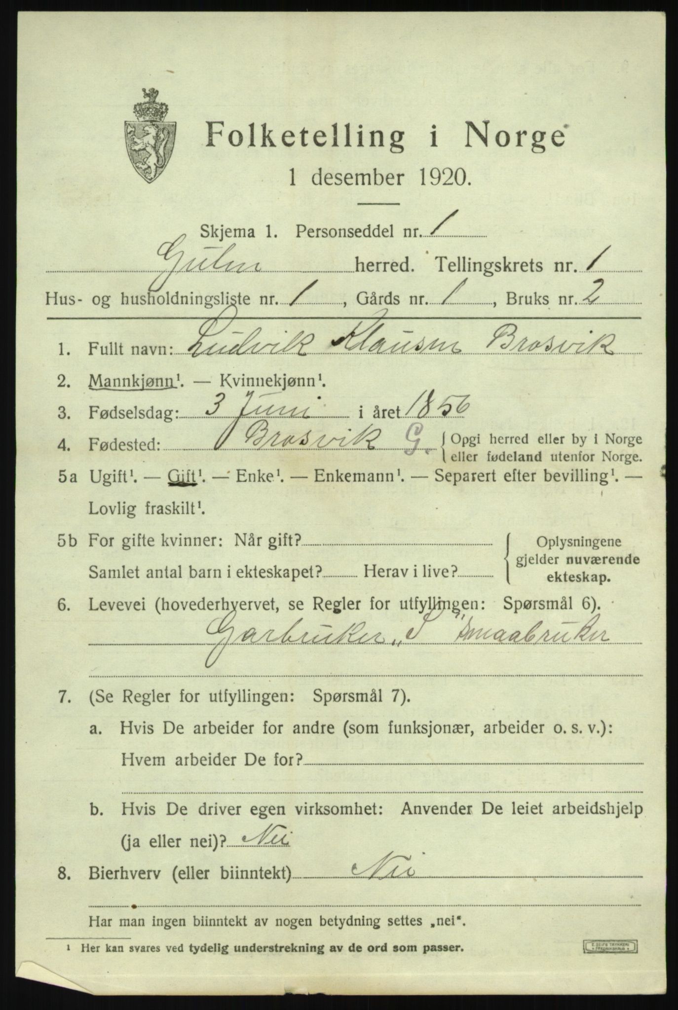 SAB, 1920 census for Gulen, 1920, p. 1101