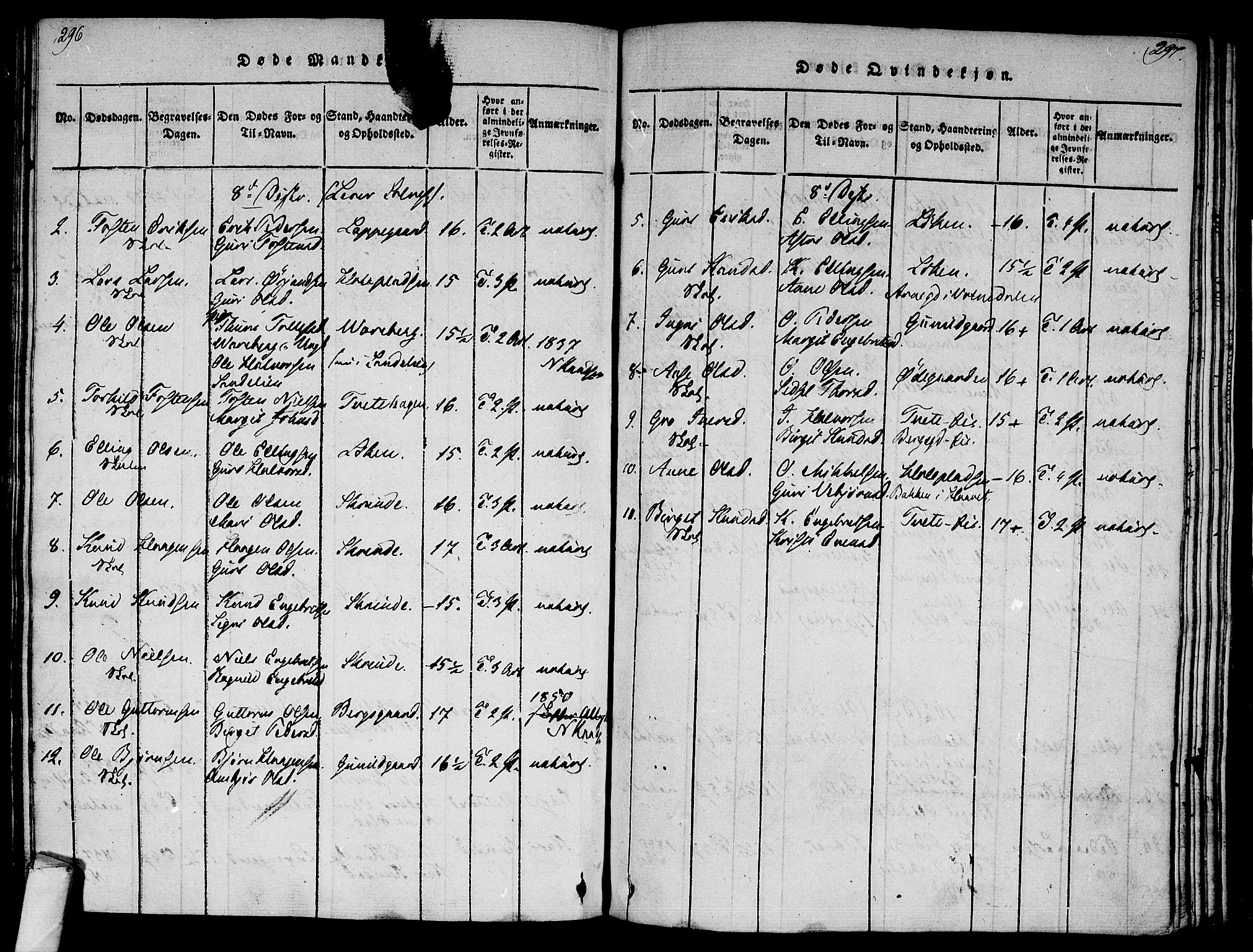 Ål kirkebøker, AV/SAKO-A-249/F/Fa/L0004: Parish register (official) no. I 4, 1815-1825, p. 296-297