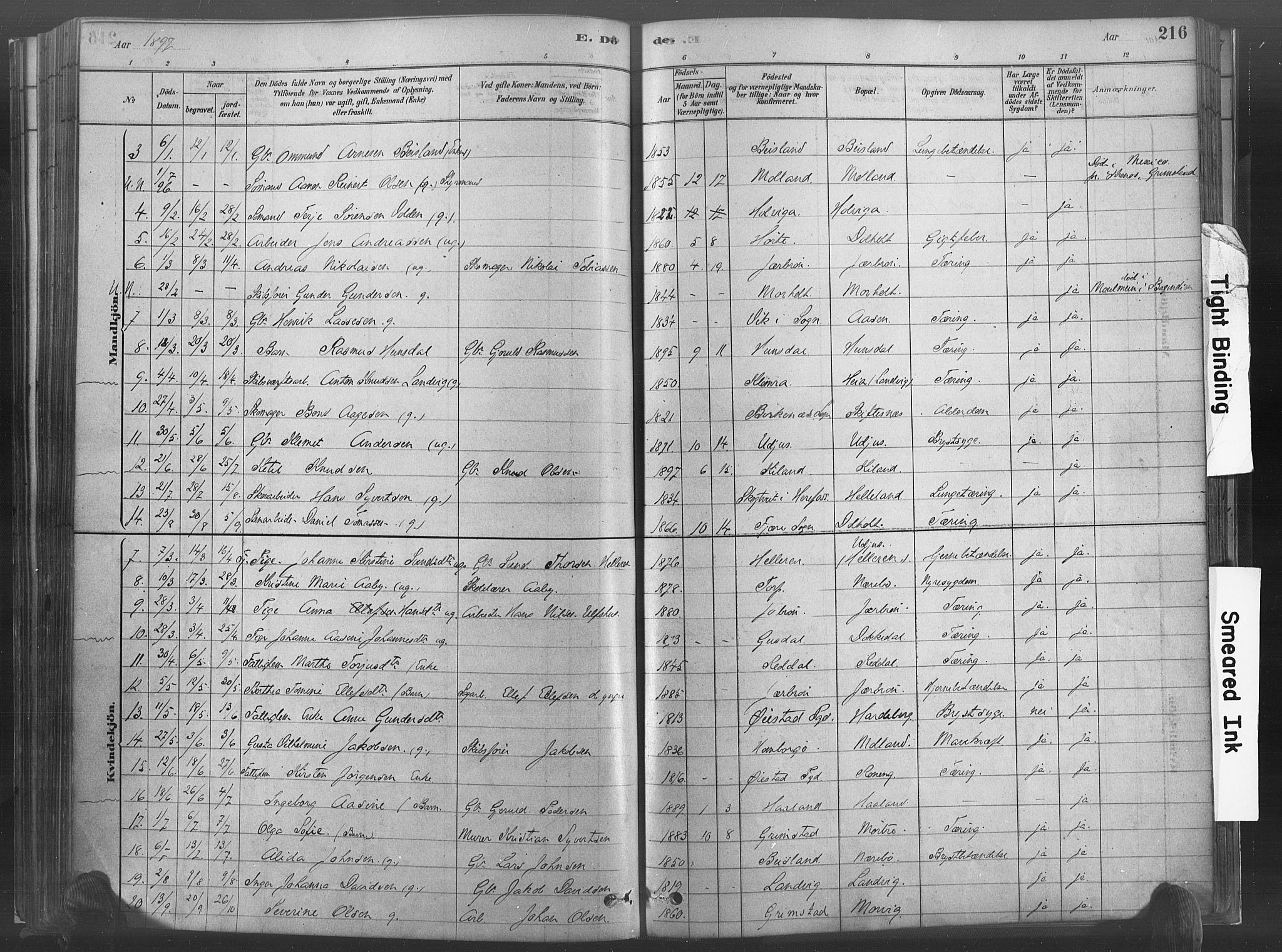 Hommedal sokneprestkontor, SAK/1111-0023/F/Fa/Fab/L0006: Parish register (official) no. A 6, 1878-1897, p. 216