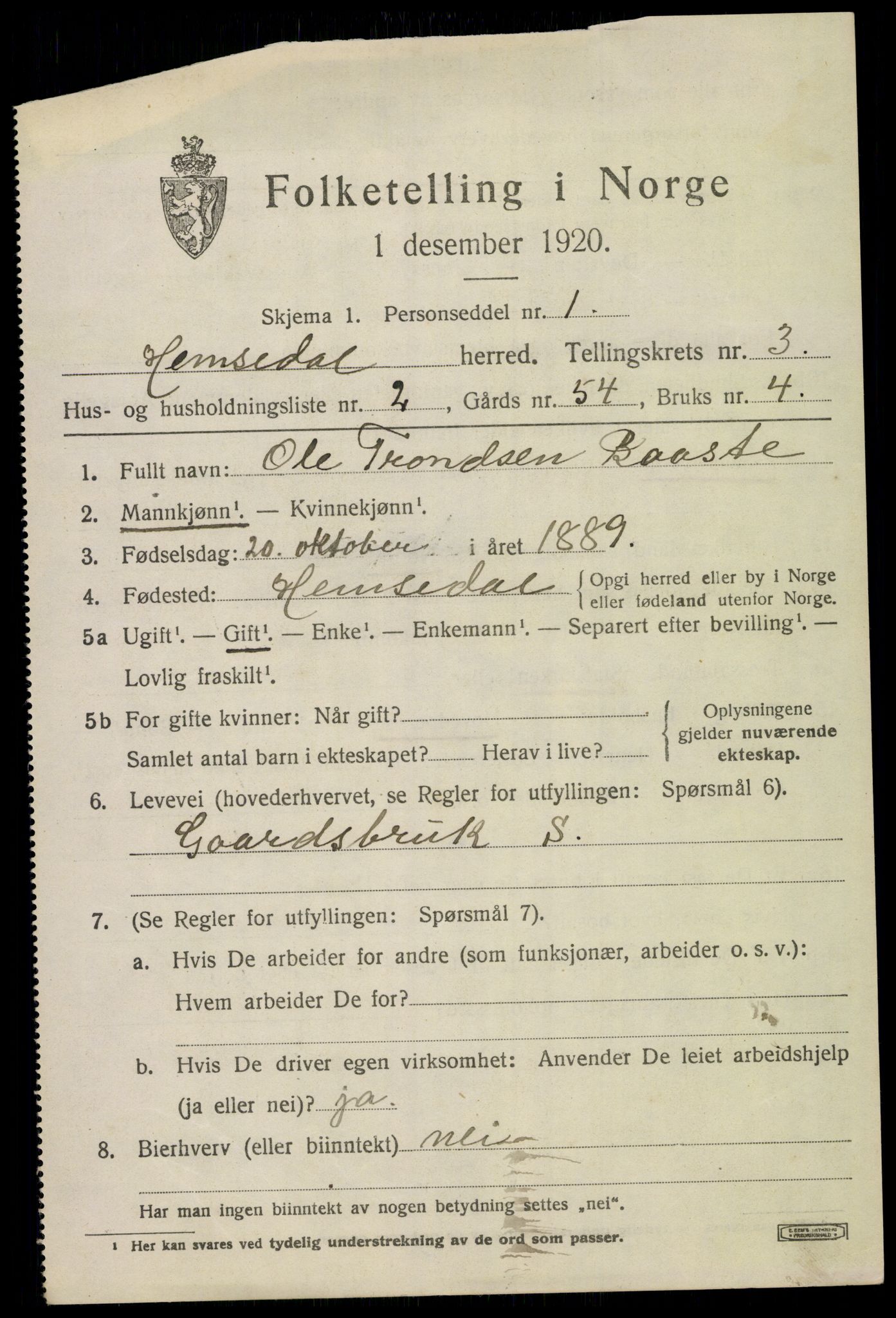 SAKO, 1920 census for Hemsedal, 1920, p. 992