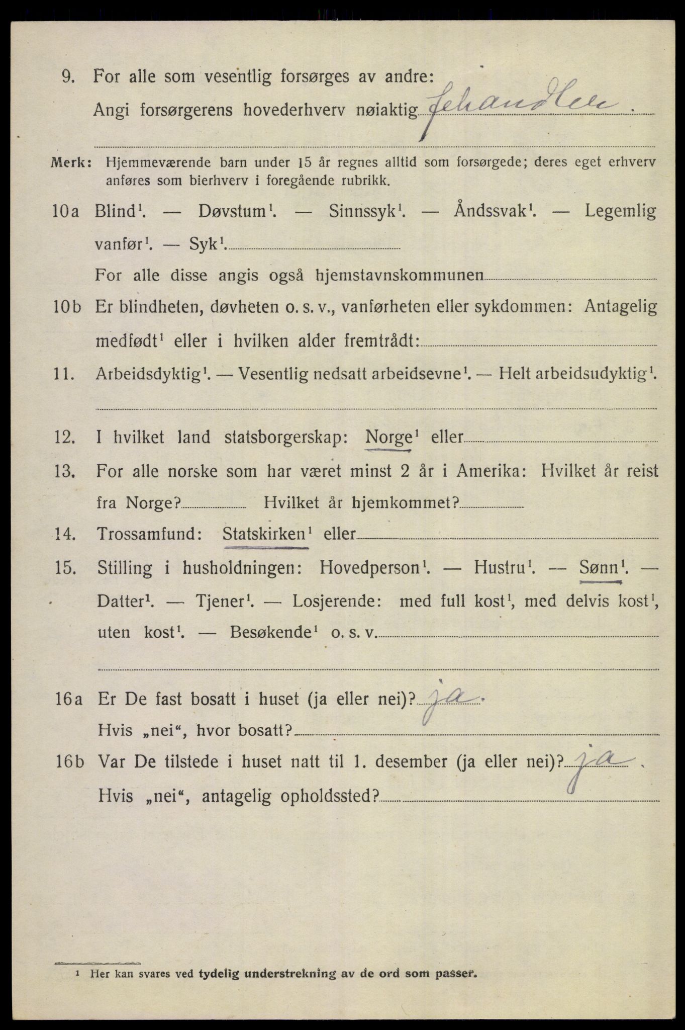 SAKO, 1920 census for Hemsedal, 1920, p. 1447