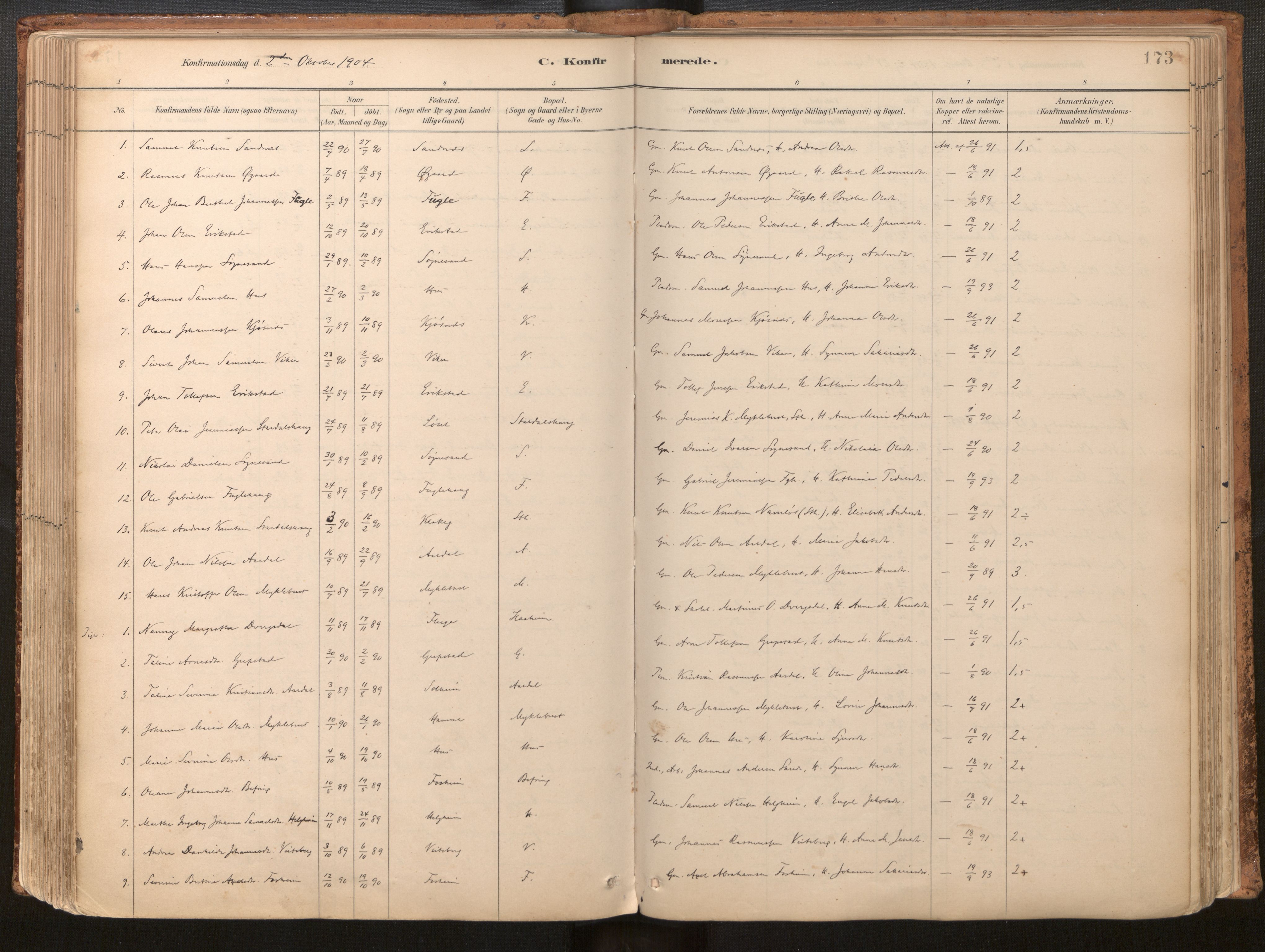 Jølster sokneprestembete, SAB/A-80701/H/Haa/Haac/L0001: Parish register (official) no. C 1, 1882-1928, p. 173