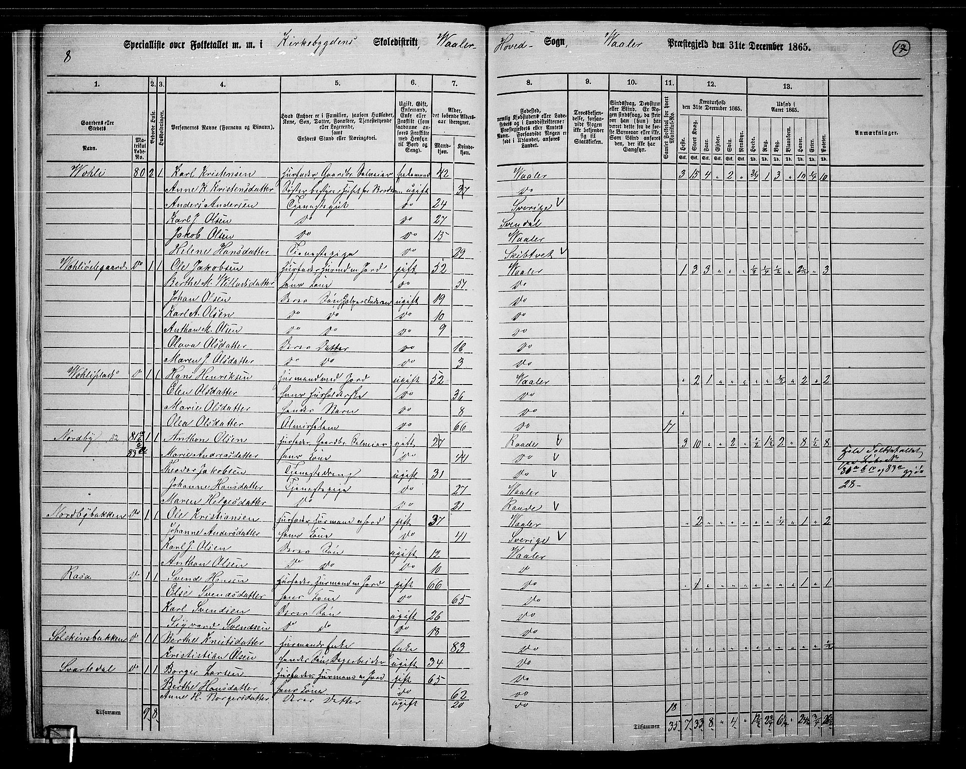RA, 1865 census for Våler, 1865, p. 18