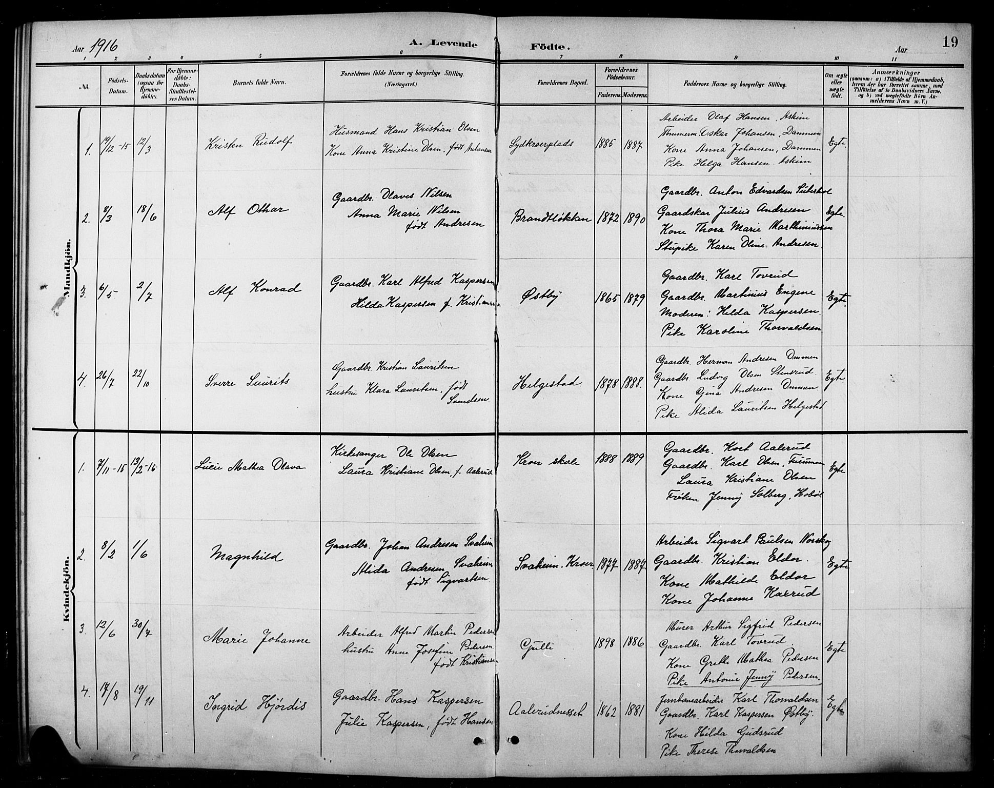 Ås prestekontor Kirkebøker, SAO/A-10894/G/Gc/L0001: Parish register (copy) no. III 1, 1901-1924, p. 19