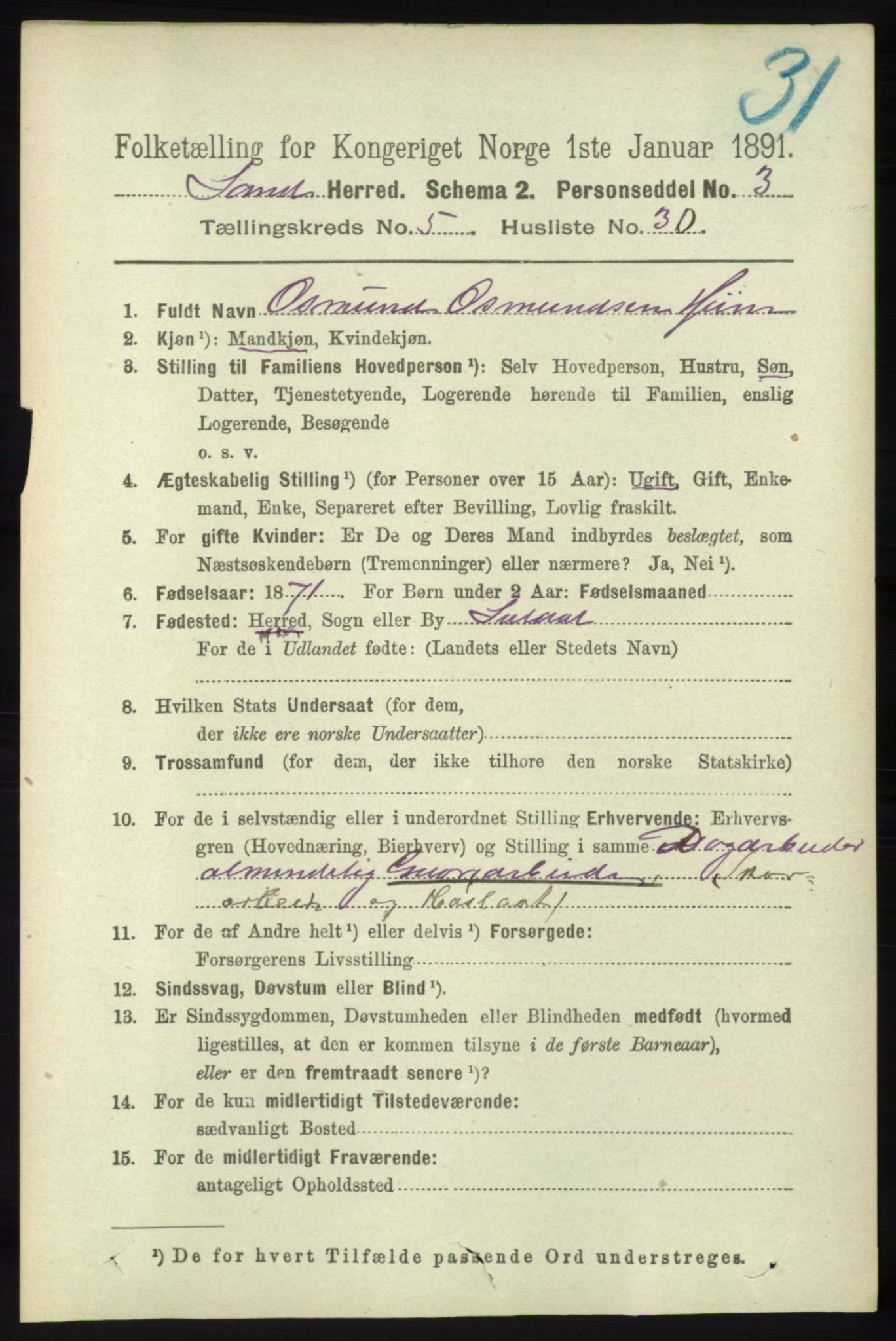 RA, 1891 census for 1136 Sand, 1891, p. 1691