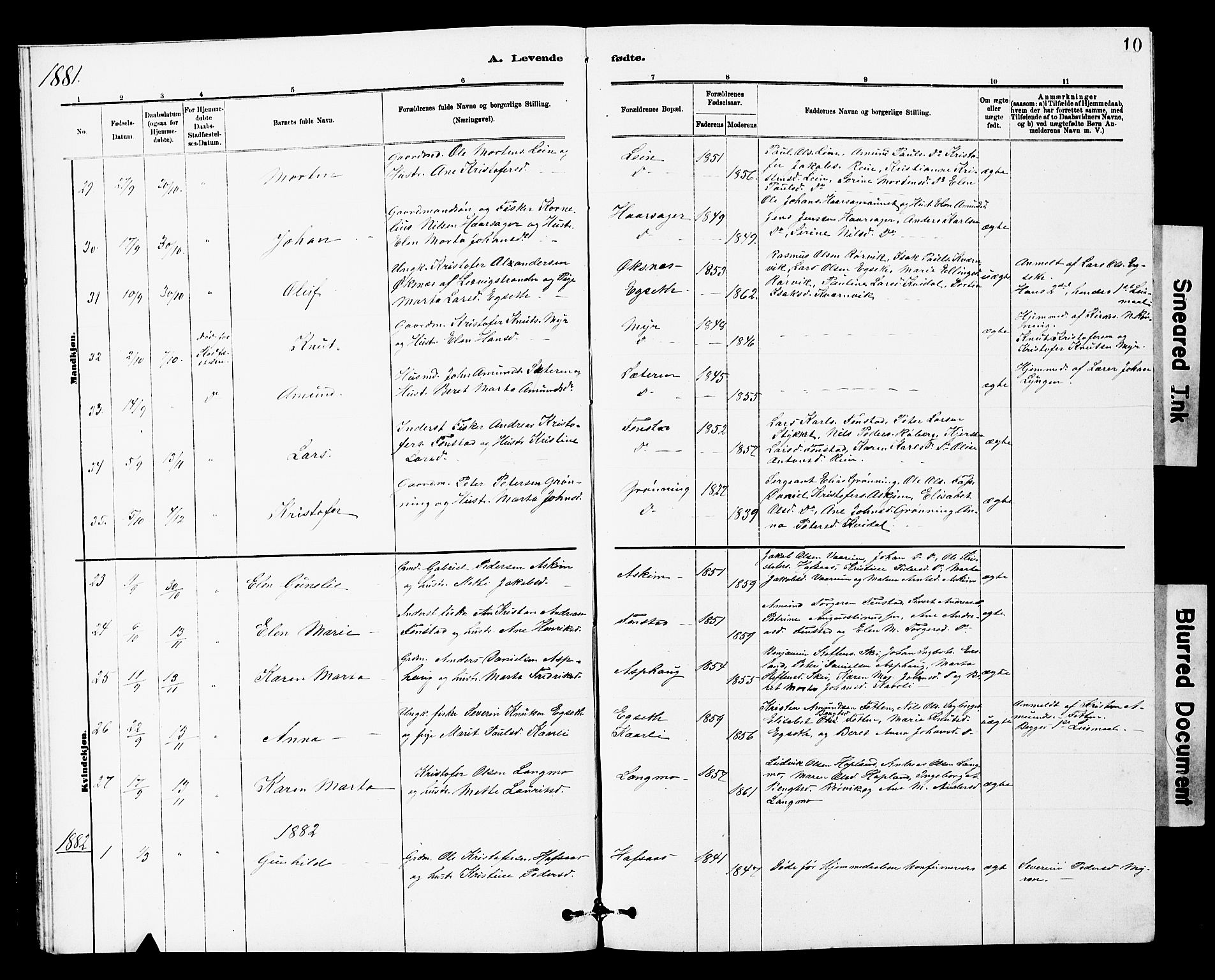 Ministerialprotokoller, klokkerbøker og fødselsregistre - Sør-Trøndelag, SAT/A-1456/646/L0628: Parish register (copy) no. 646C01, 1880-1903, p. 10