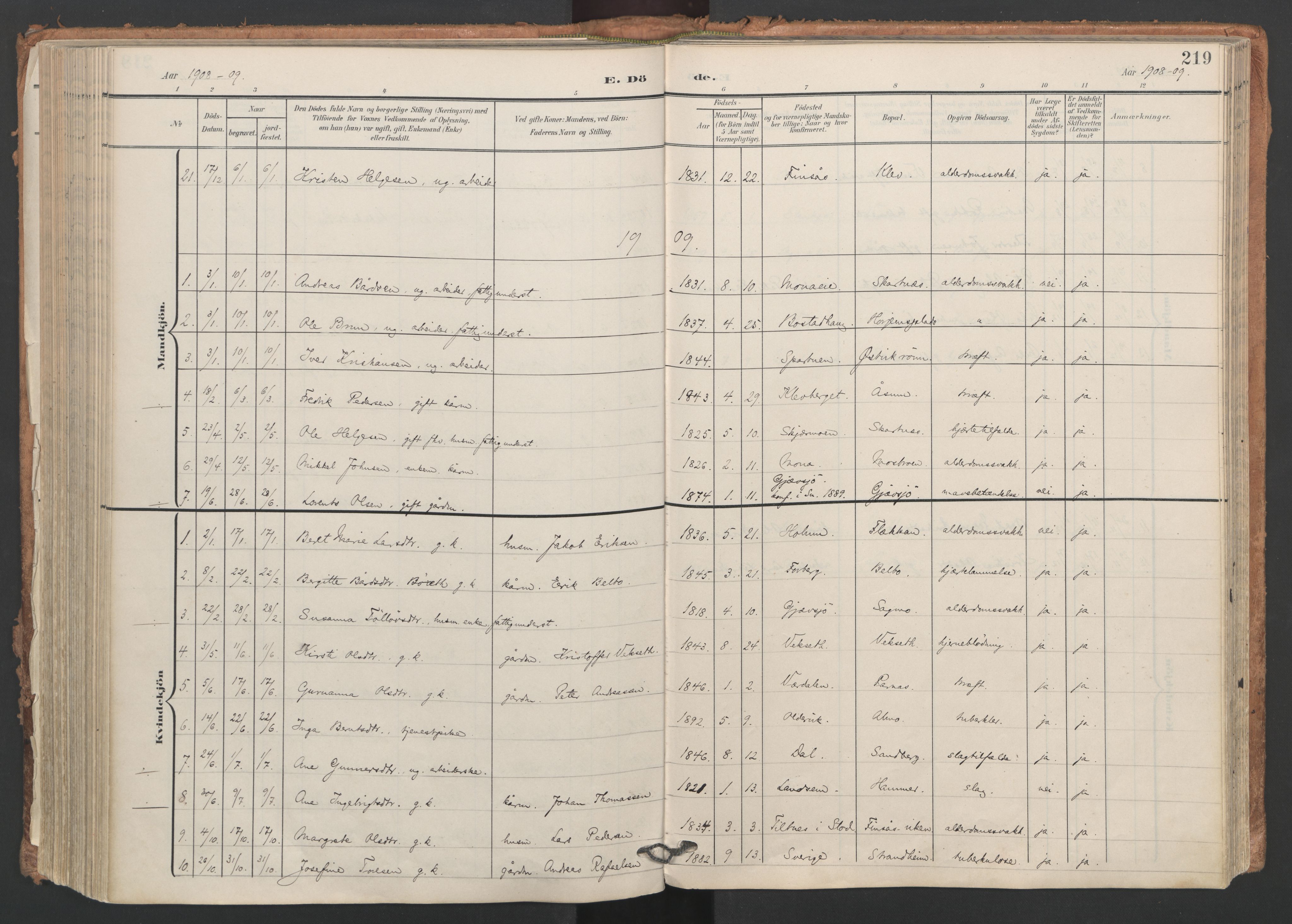 Ministerialprotokoller, klokkerbøker og fødselsregistre - Nord-Trøndelag, SAT/A-1458/749/L0477: Parish register (official) no. 749A11, 1902-1927, p. 219