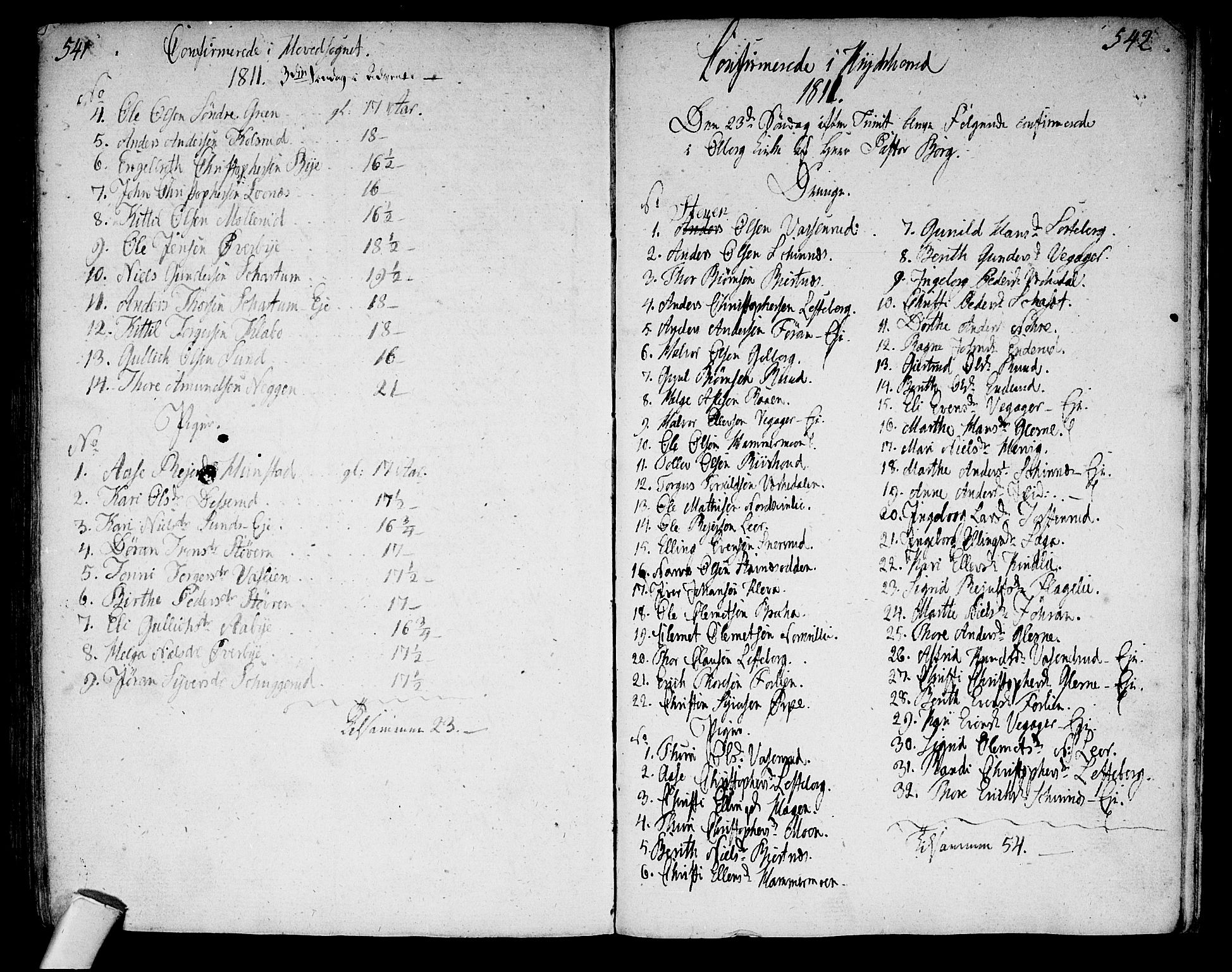 Sigdal kirkebøker, AV/SAKO-A-245/F/Fa/L0003: Parish register (official) no. I 3, 1793-1811, p. 541-542
