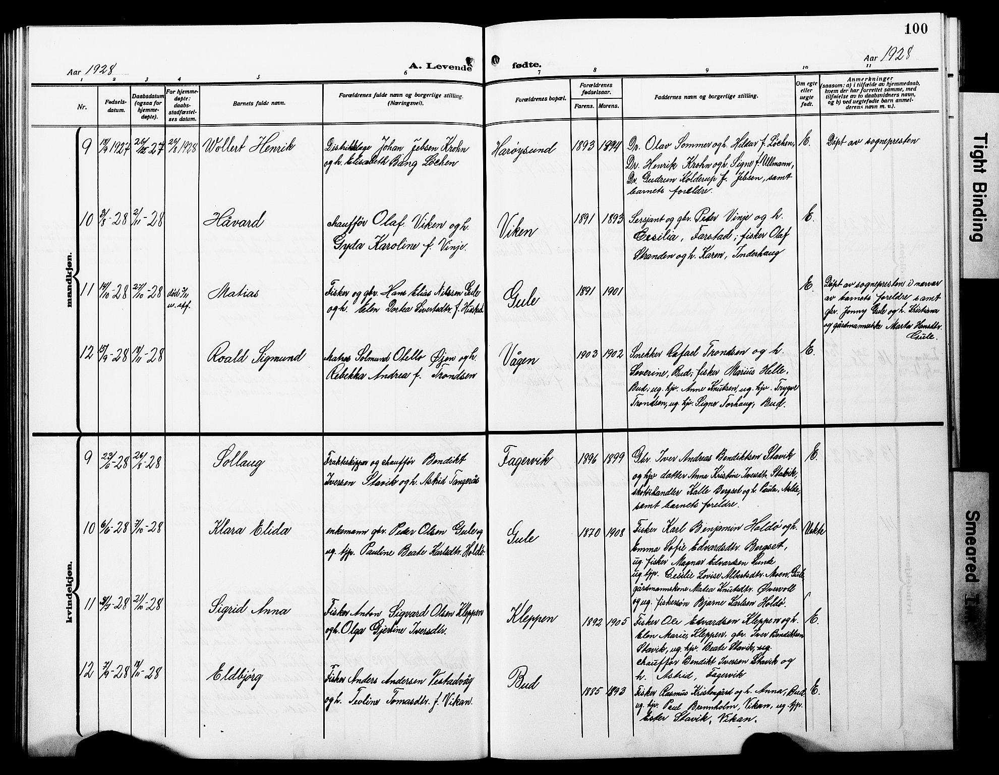 Ministerialprotokoller, klokkerbøker og fødselsregistre - Møre og Romsdal, SAT/A-1454/566/L0774: Parish register (copy) no. 566C03, 1910-1929, p. 100
