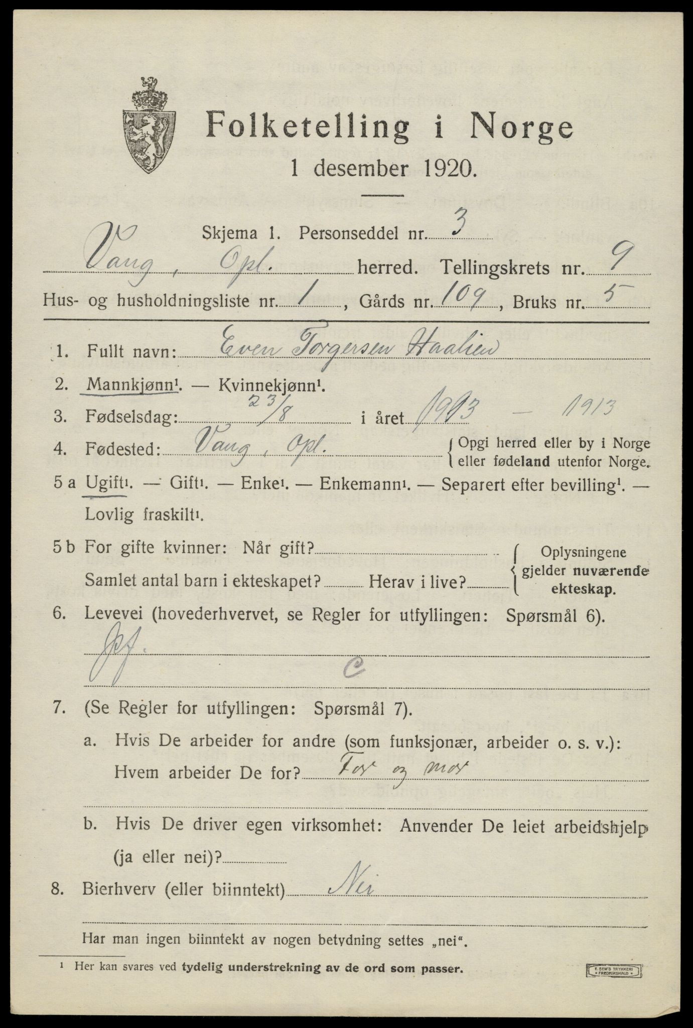 SAH, 1920 census for Vang (Oppland), 1920, p. 3861