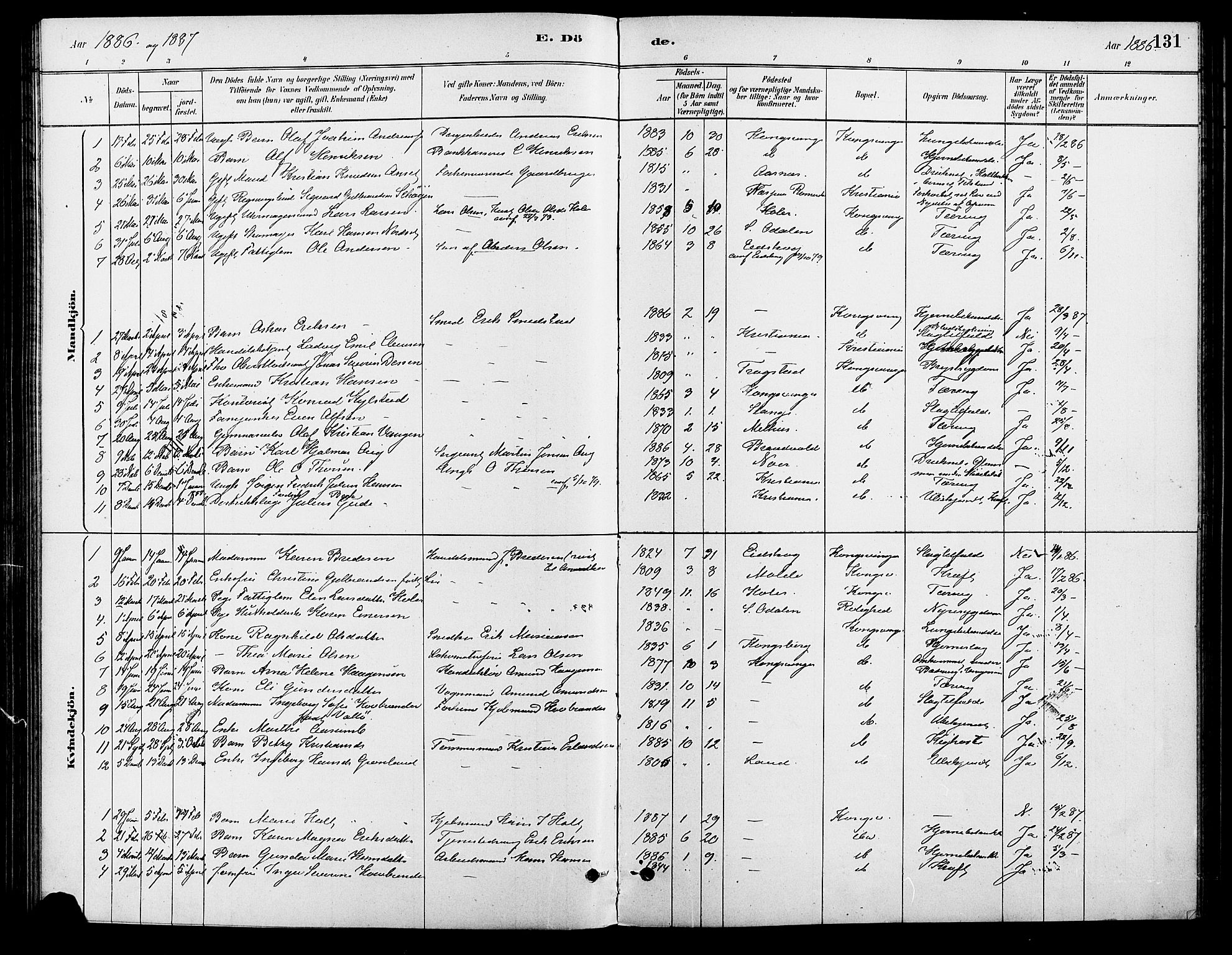 Vinger prestekontor, AV/SAH-PREST-024/H/Ha/Haa/L0013: Parish register (official) no. 13, 1881-1897, p. 131