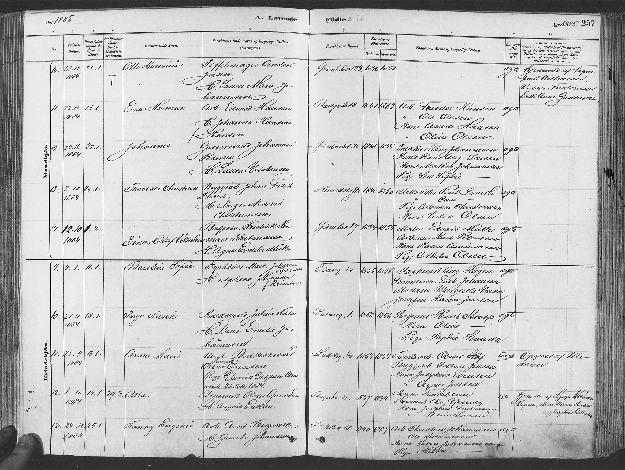 Grønland prestekontor Kirkebøker, AV/SAO-A-10848/F/Fa/L0007: Parish register (official) no. 7, 1878-1888, p. 257