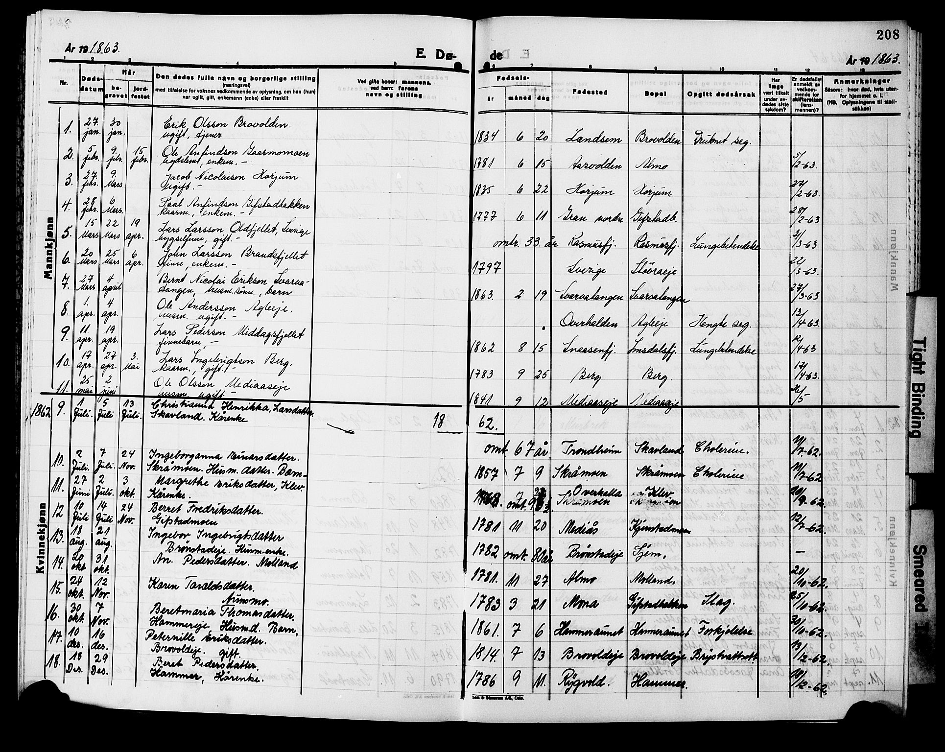 Ministerialprotokoller, klokkerbøker og fødselsregistre - Nord-Trøndelag, AV/SAT-A-1458/749/L0485: Parish register (official) no. 749D01, 1857-1872, p. 208