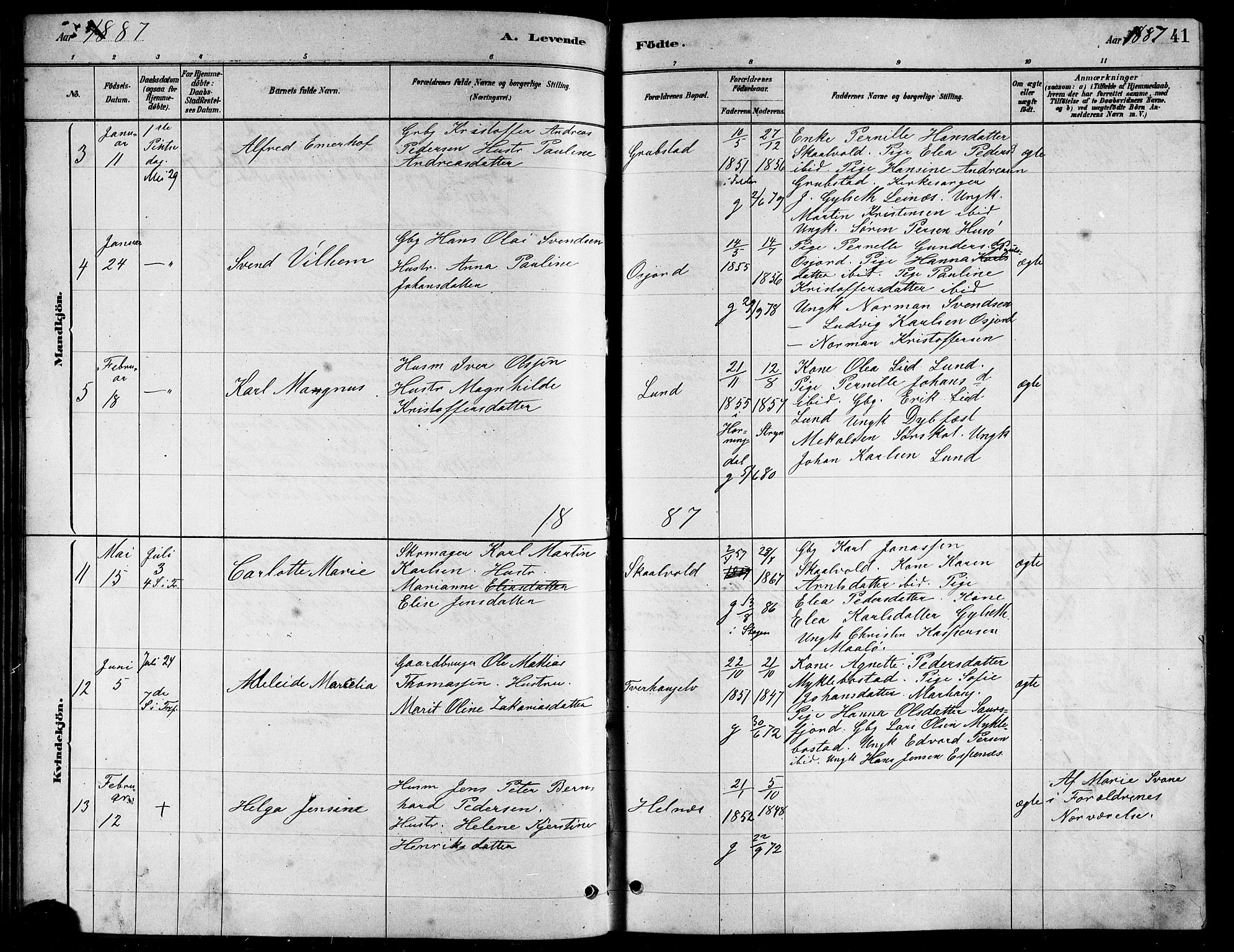 Ministerialprotokoller, klokkerbøker og fødselsregistre - Nordland, AV/SAT-A-1459/857/L0828: Parish register (copy) no. 857C03, 1879-1908, p. 41