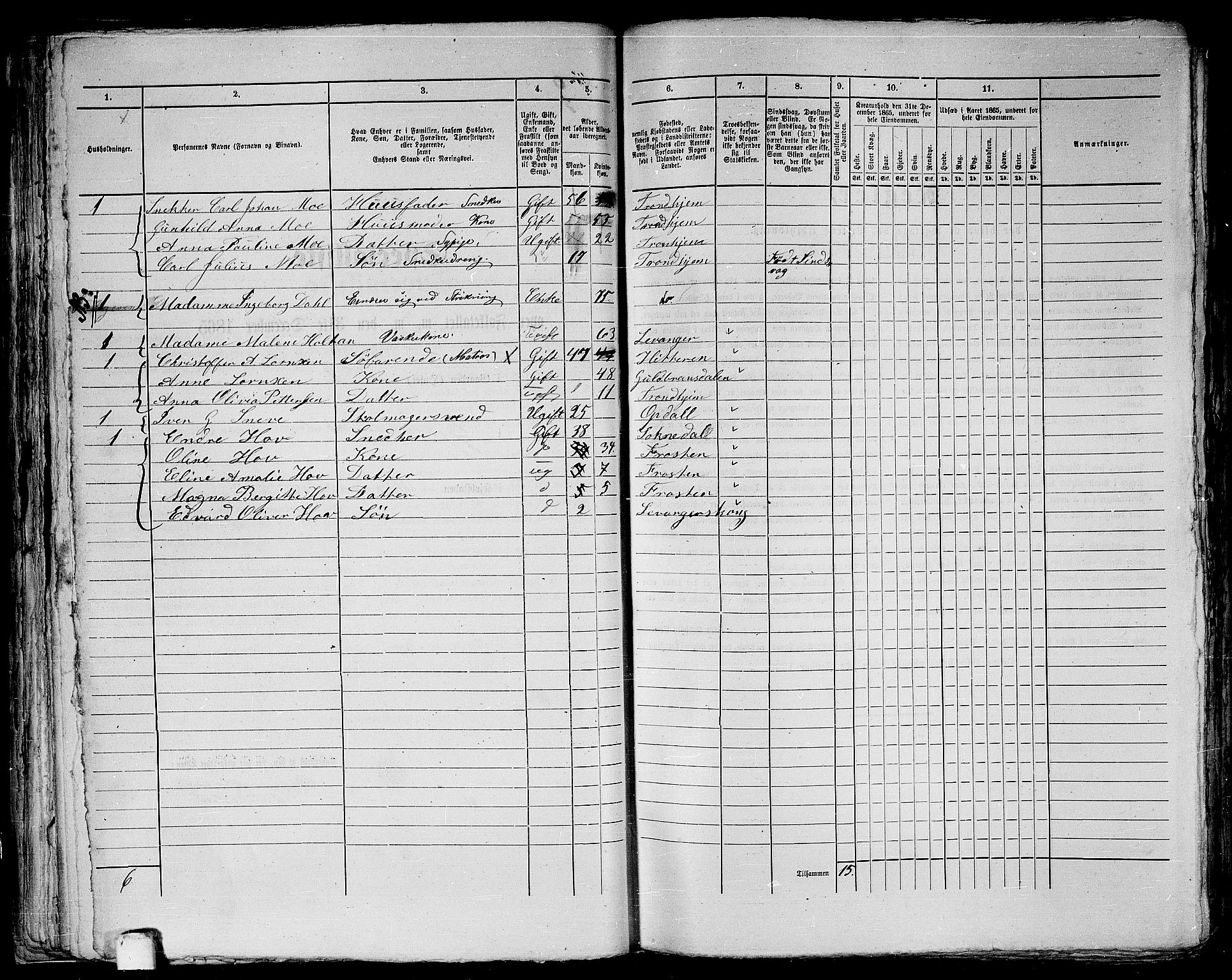 RA, 1865 census for Trondheim, 1865, p. 115