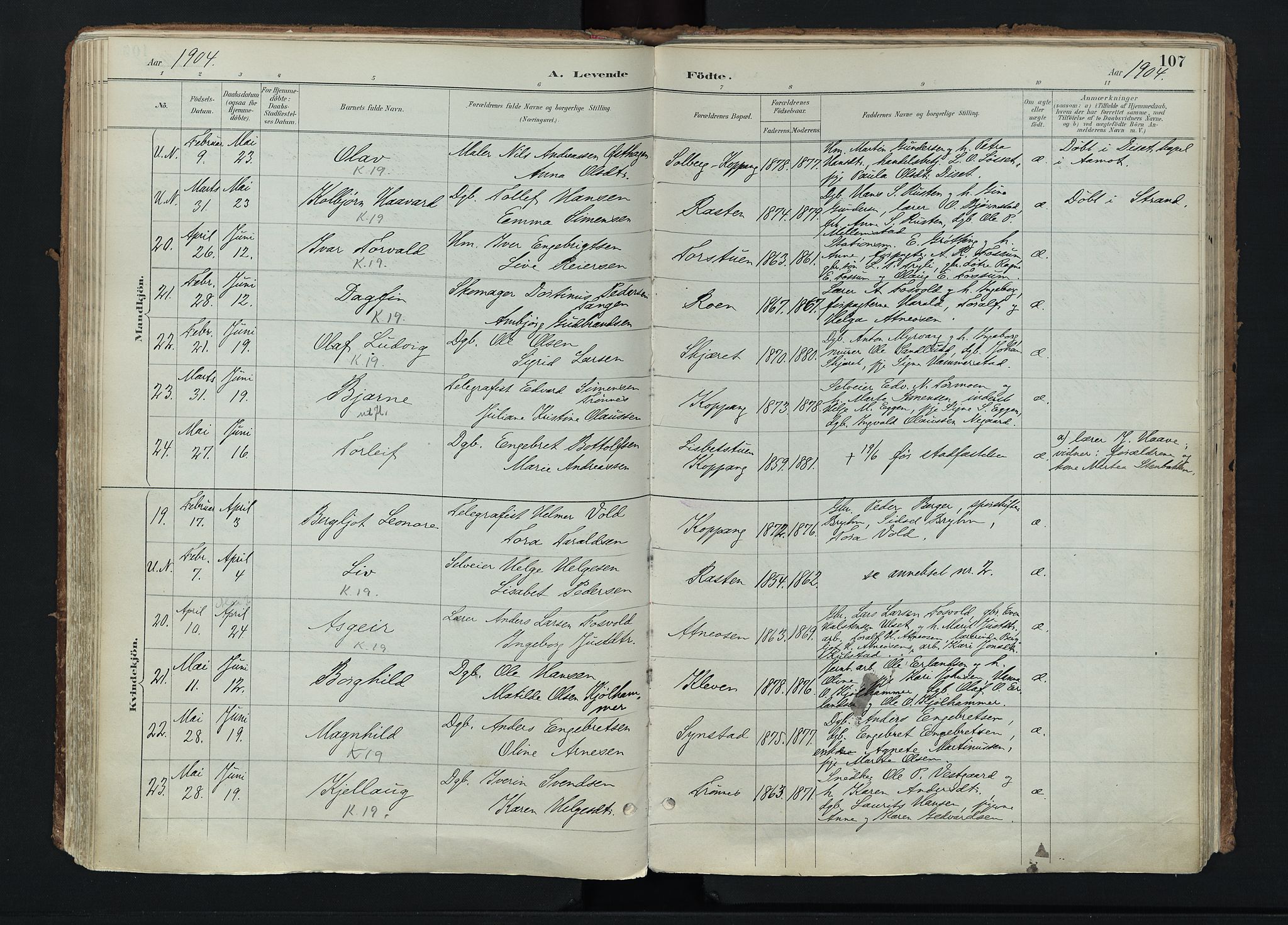 Stor-Elvdal prestekontor, AV/SAH-PREST-052/H/Ha/Haa/L0004: Parish register (official) no. 4, 1890-1922, p. 107