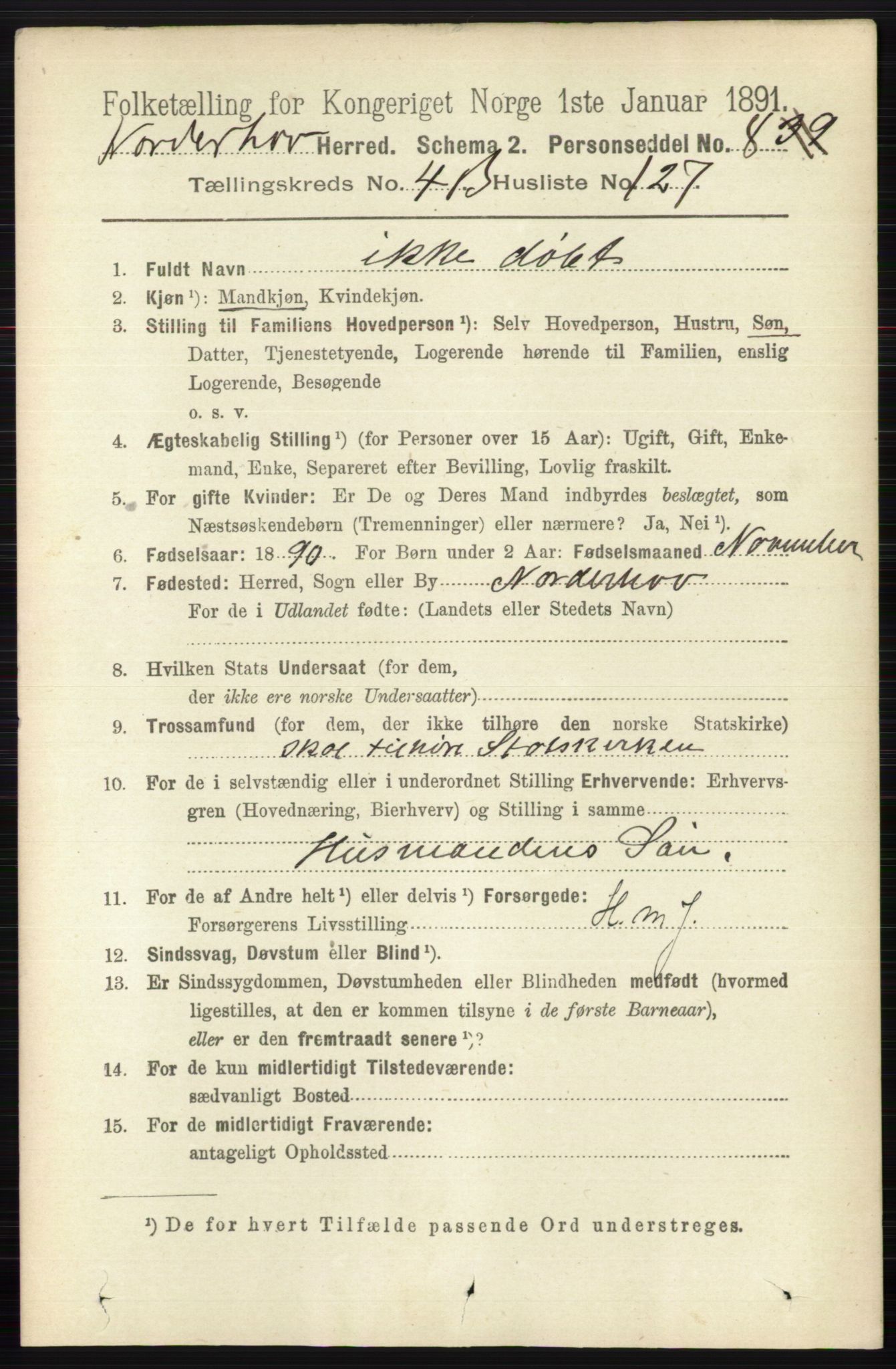 RA, 1891 census for 0613 Norderhov, 1891, p. 3432