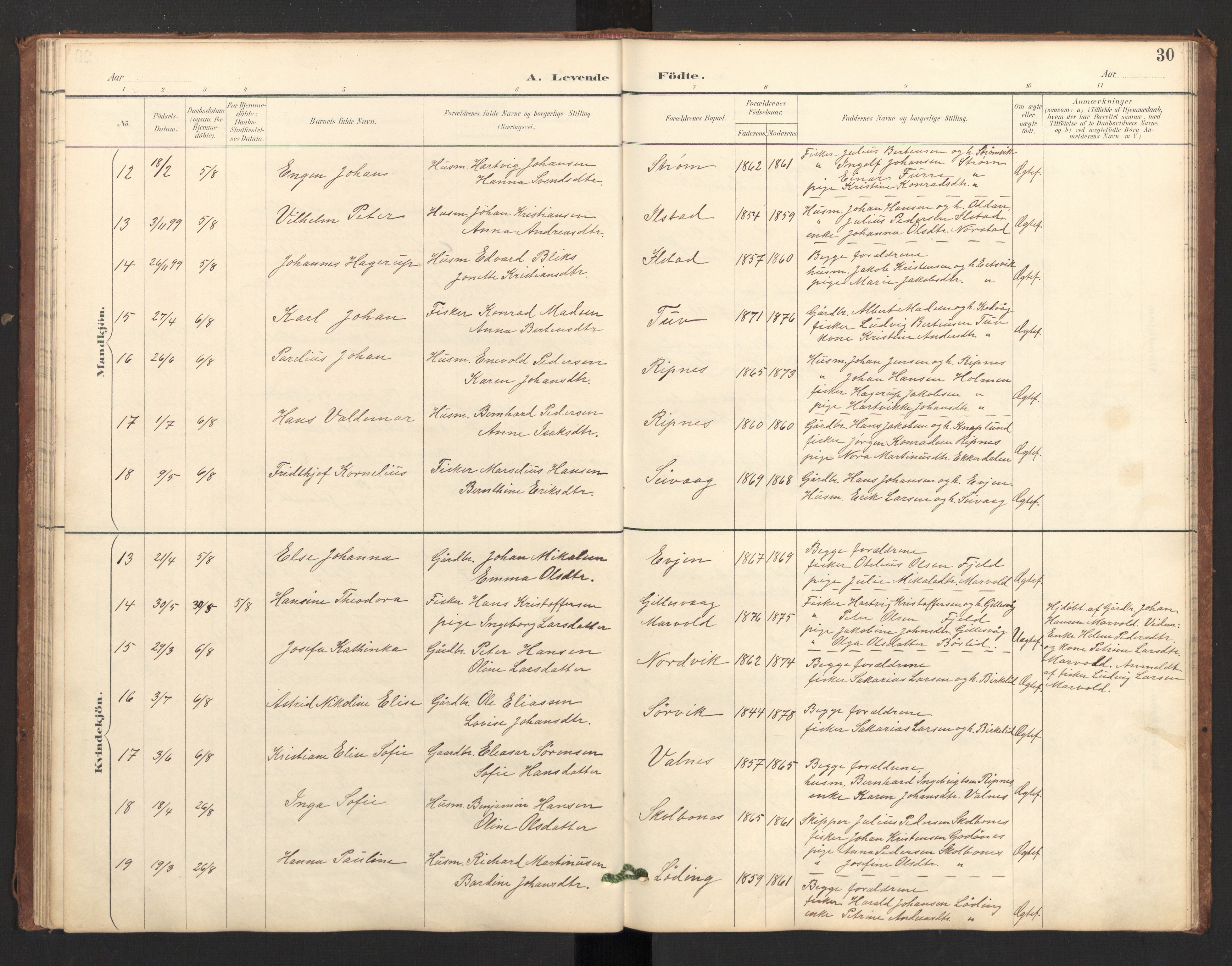 Ministerialprotokoller, klokkerbøker og fødselsregistre - Nordland, AV/SAT-A-1459/804/L0087: Parish register (official) no. 804A08, 1894-1907, p. 30