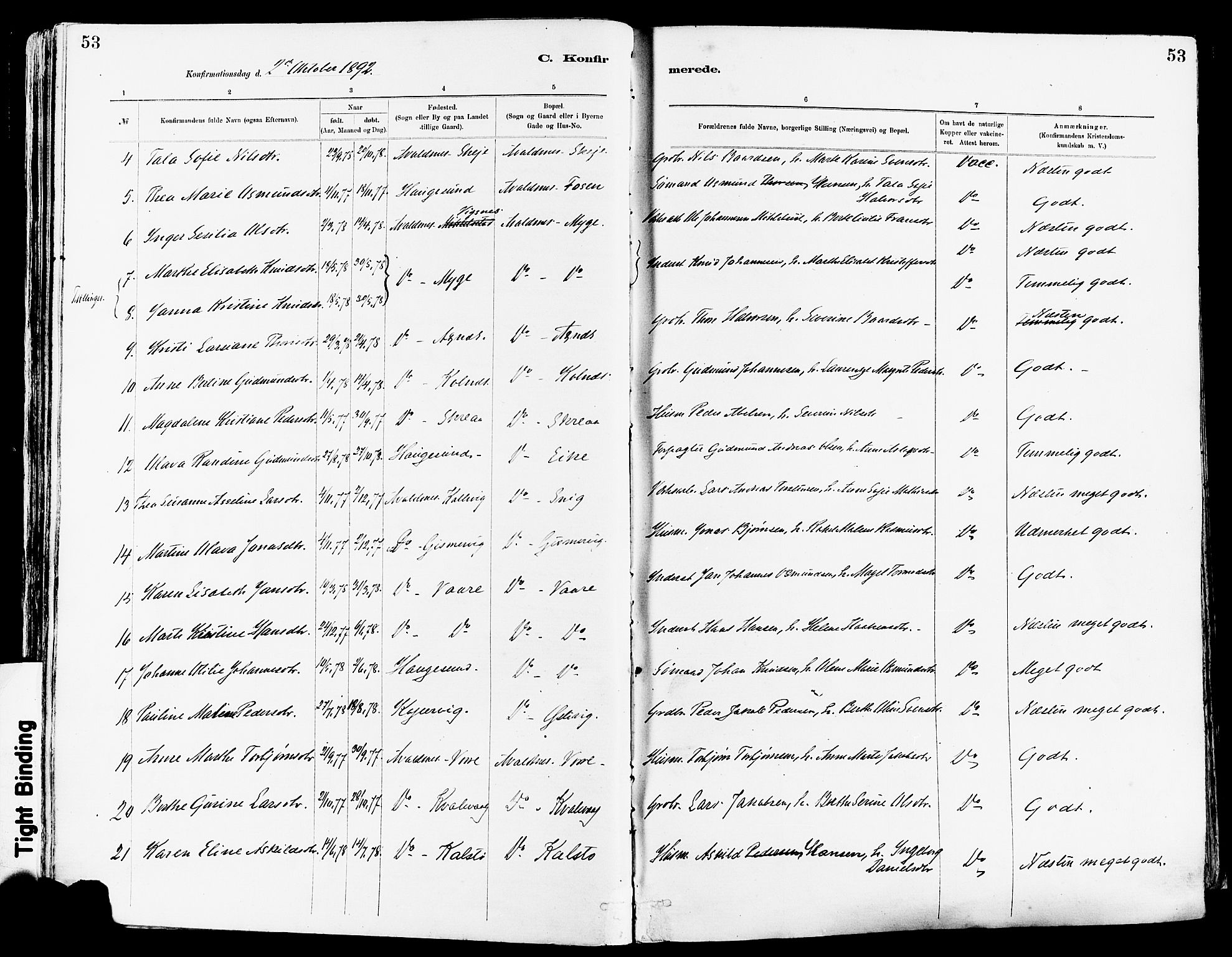 Avaldsnes sokneprestkontor, AV/SAST-A -101851/H/Ha/Haa/L0015: Parish register (official) no. A 15, 1880-1906, p. 53