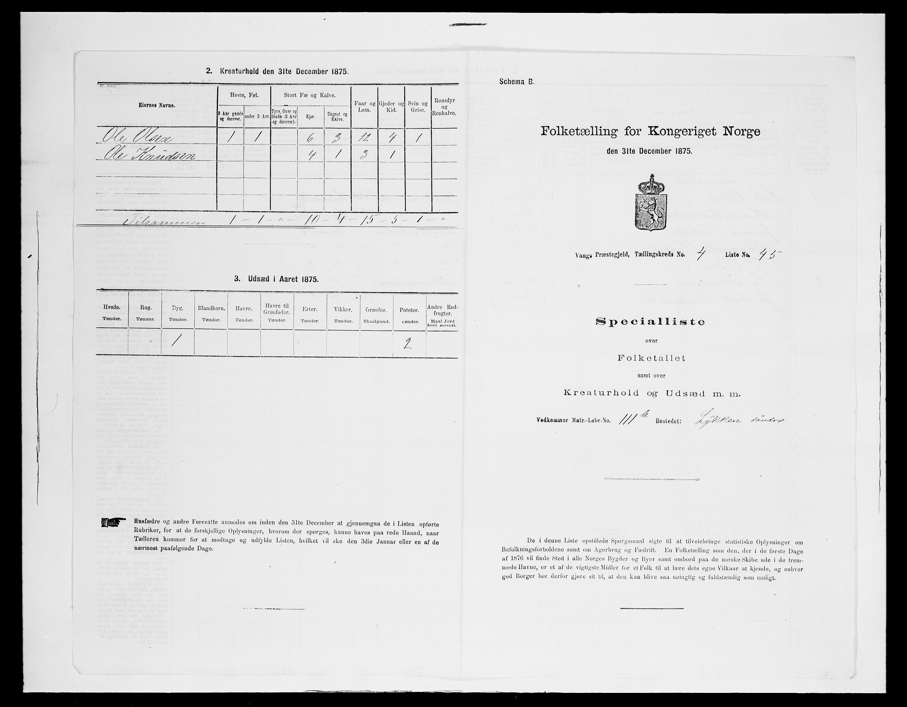 SAH, 1875 census for 0545P Vang, 1875, p. 433