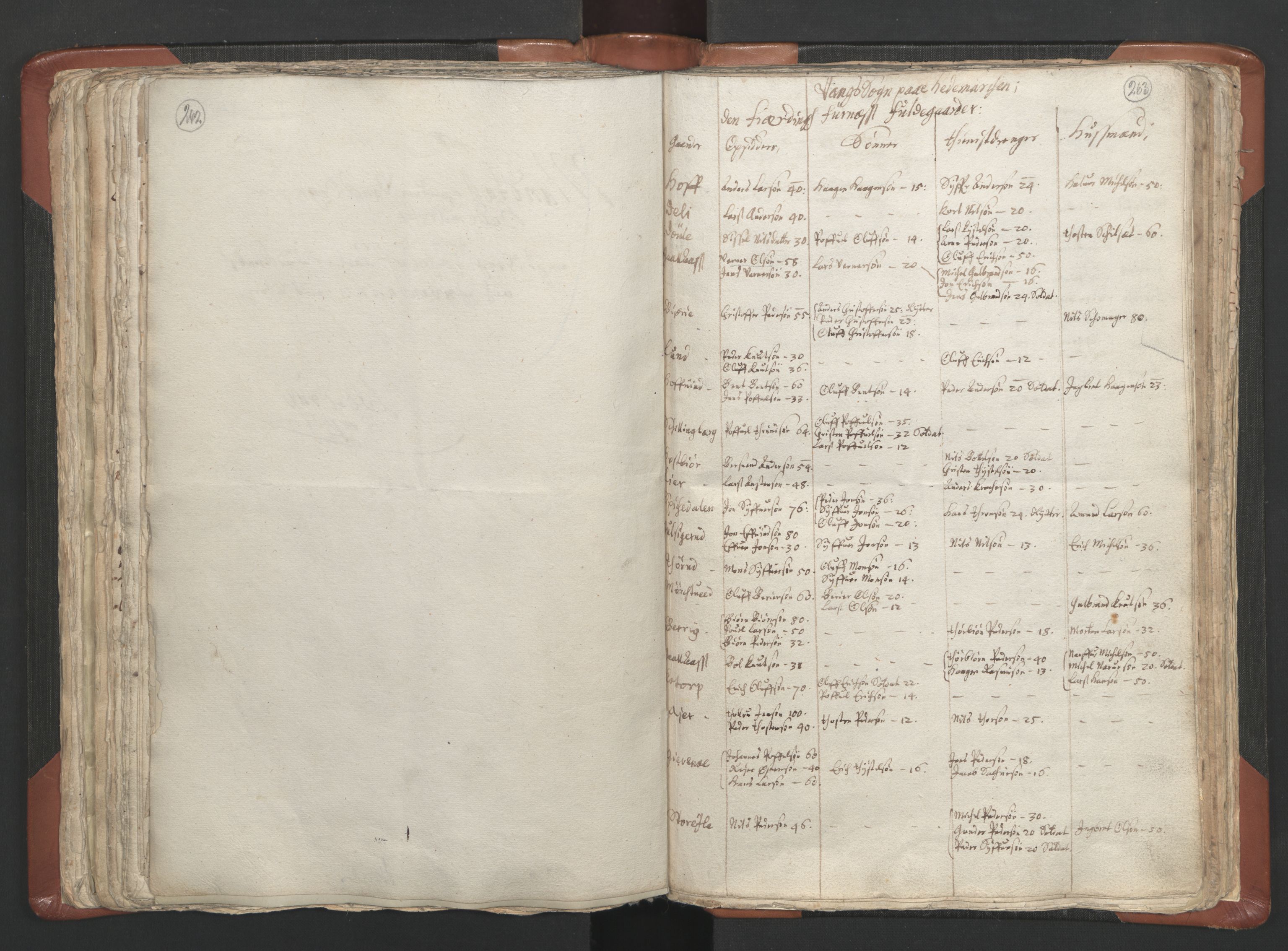 RA, Vicar's Census 1664-1666, no. 5: Hedmark deanery, 1664-1666, p. 262-263