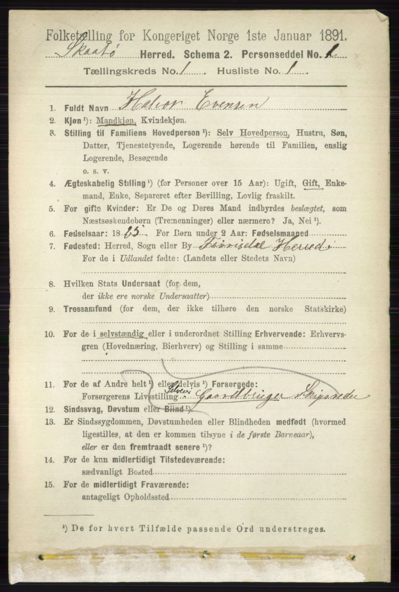 RA, 1891 census for 0815 Skåtøy, 1891, p. 92