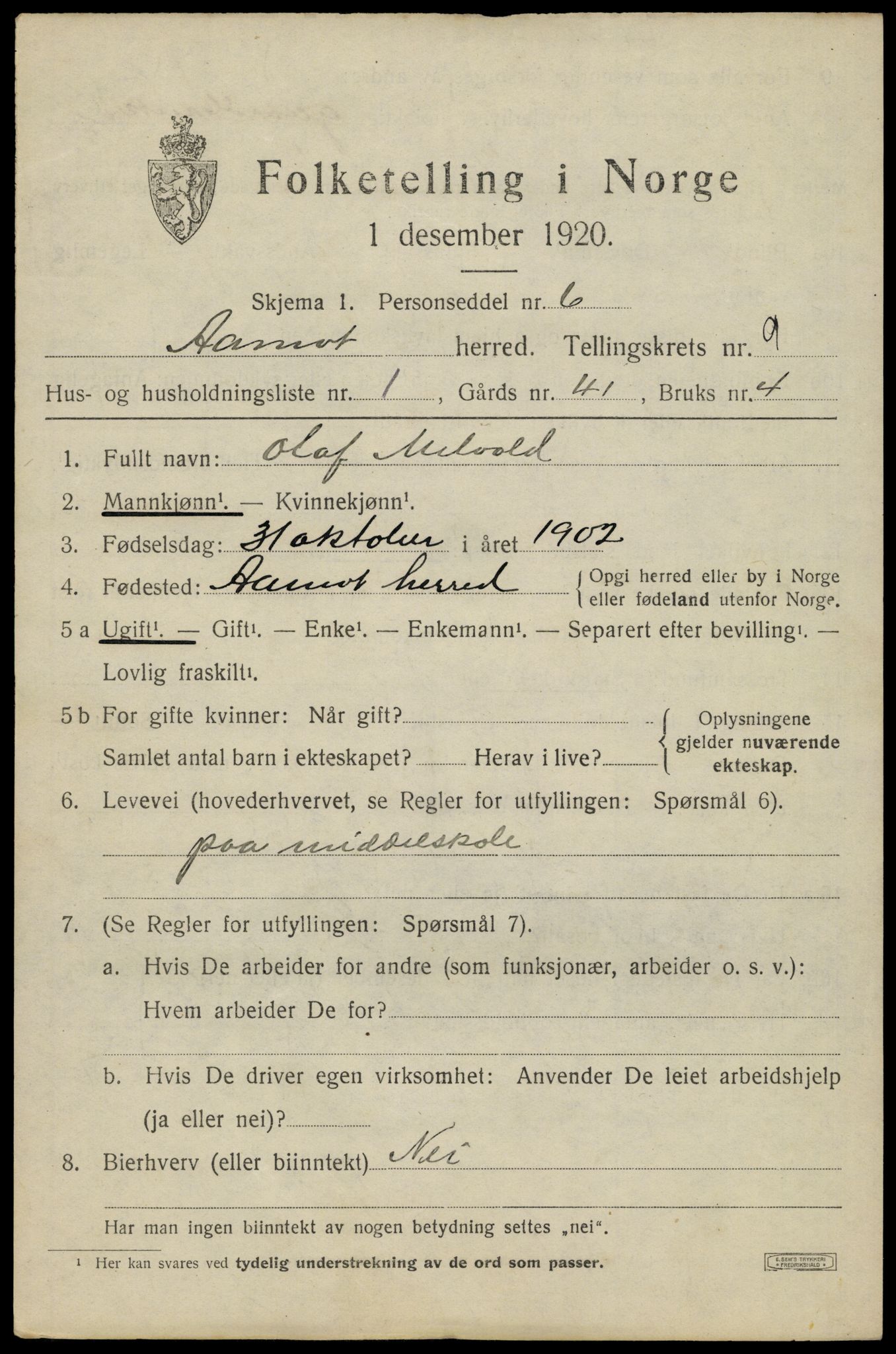 SAH, 1920 census for Åmot, 1920, p. 8197