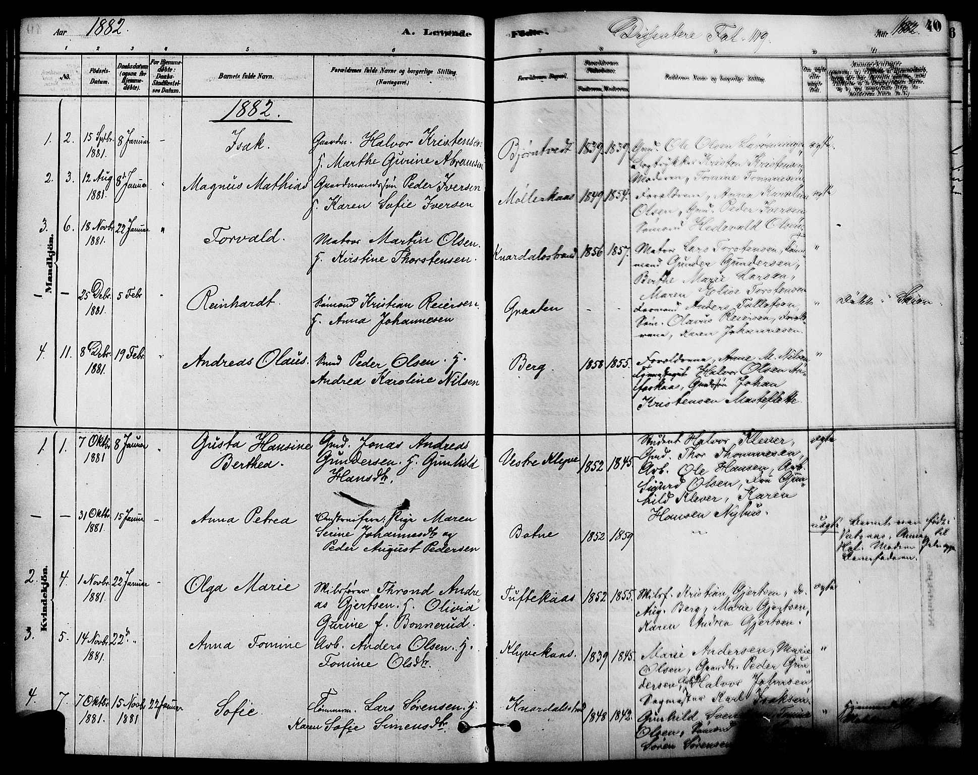 Solum kirkebøker, SAKO/A-306/F/Fa/L0009: Parish register (official) no. I 9, 1877-1887, p. 40