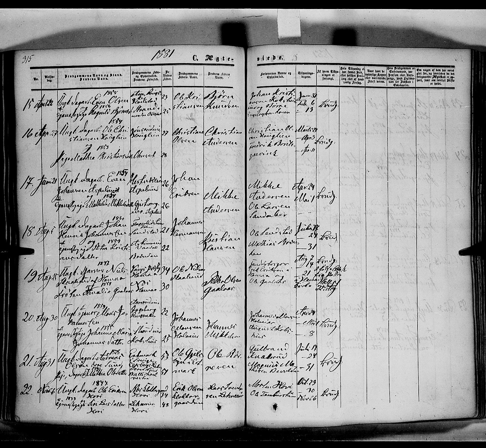 Nes prestekontor, Hedmark, SAH/PREST-020/K/Ka/L0004: Parish register (official) no. 4, 1852-1886, p. 315