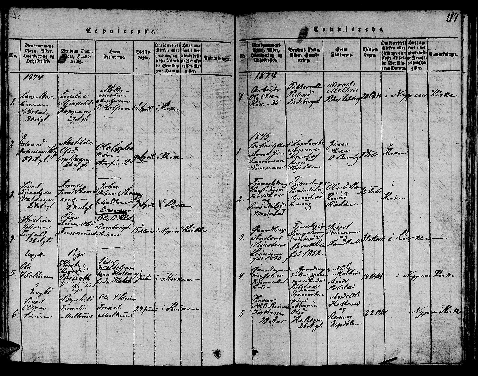Ministerialprotokoller, klokkerbøker og fødselsregistre - Sør-Trøndelag, SAT/A-1456/613/L0393: Parish register (copy) no. 613C01, 1816-1886, p. 217
