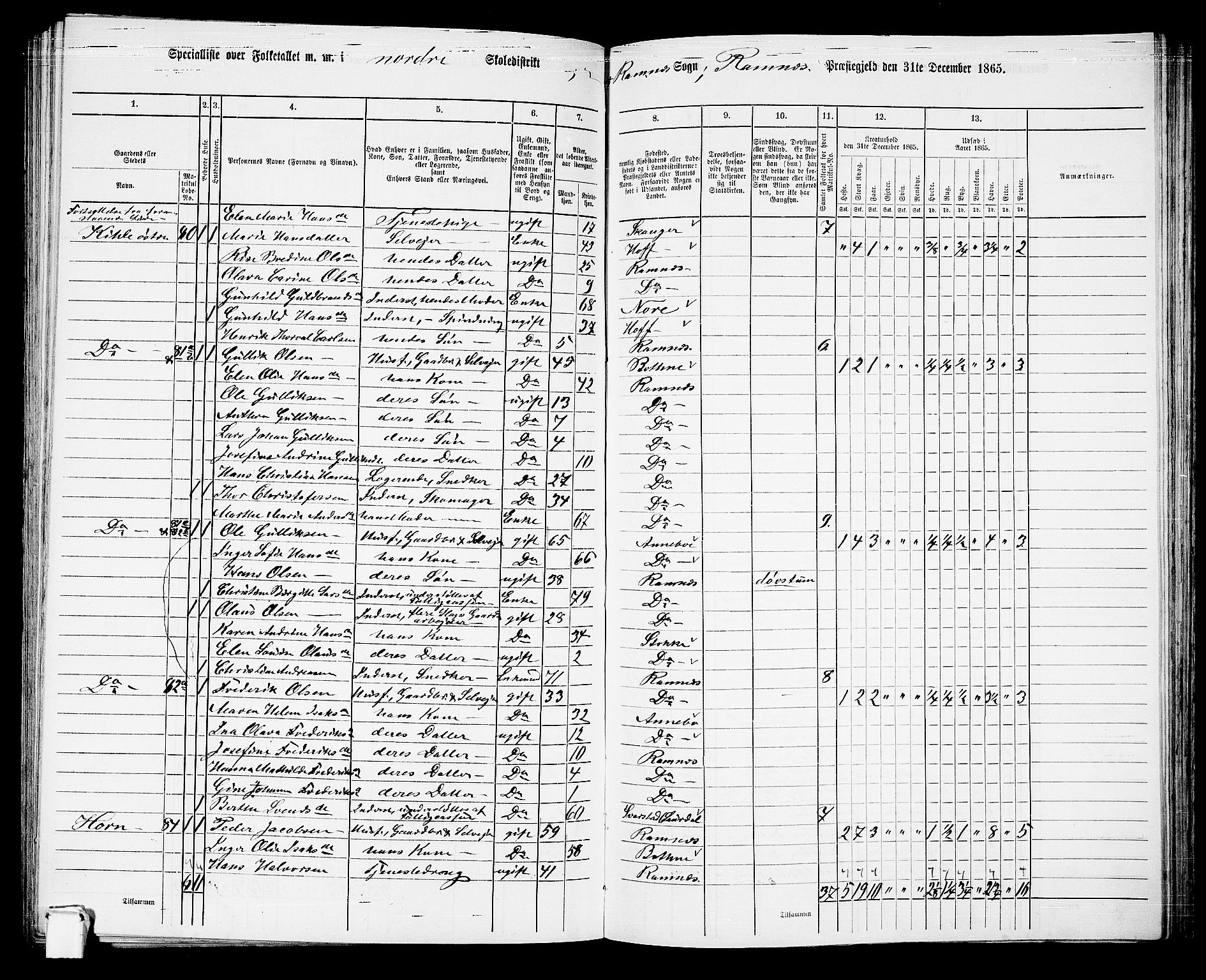 RA, 1865 census for Ramnes, 1865, p. 63