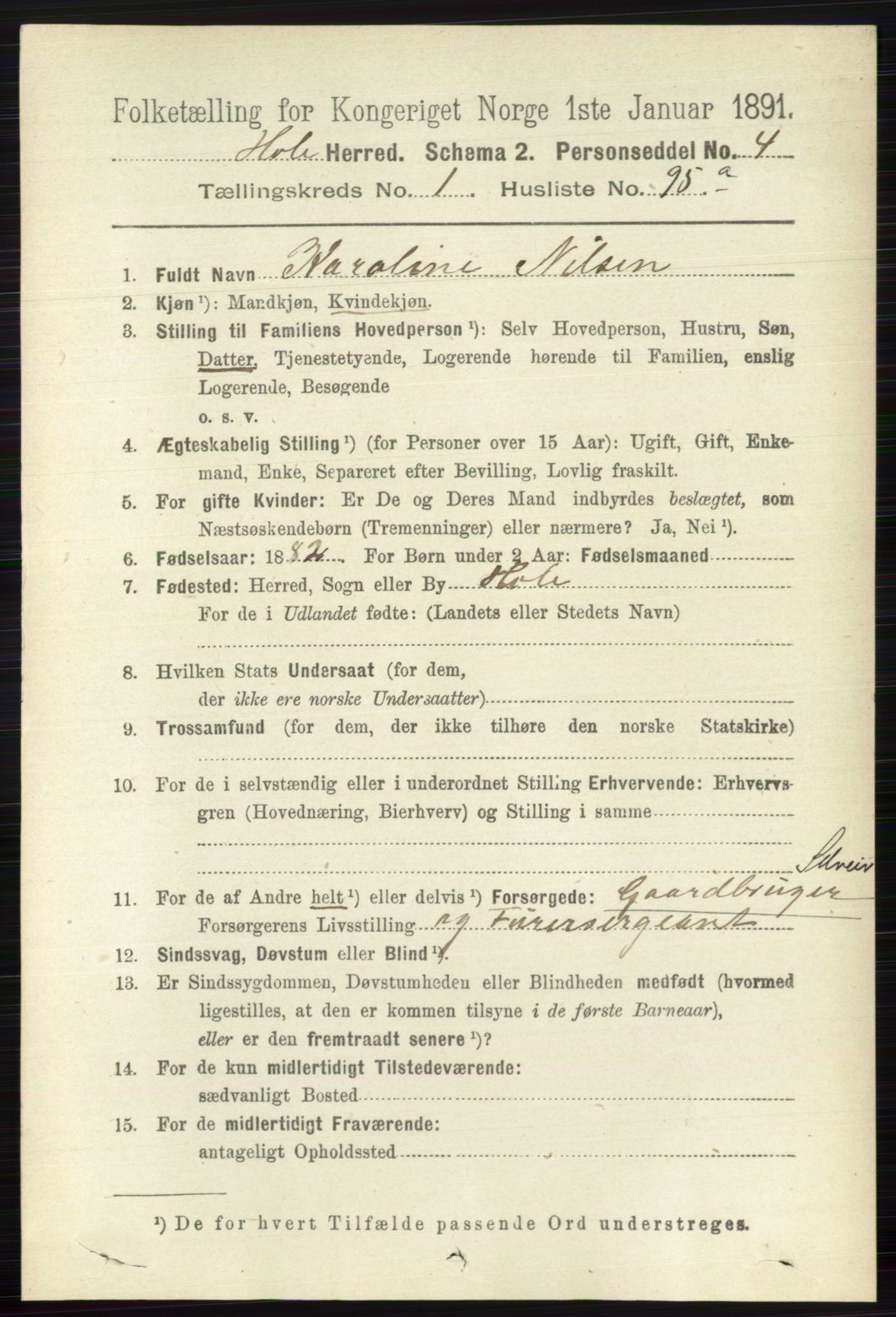 RA, 1891 census for 0612 Hole, 1891, p. 645