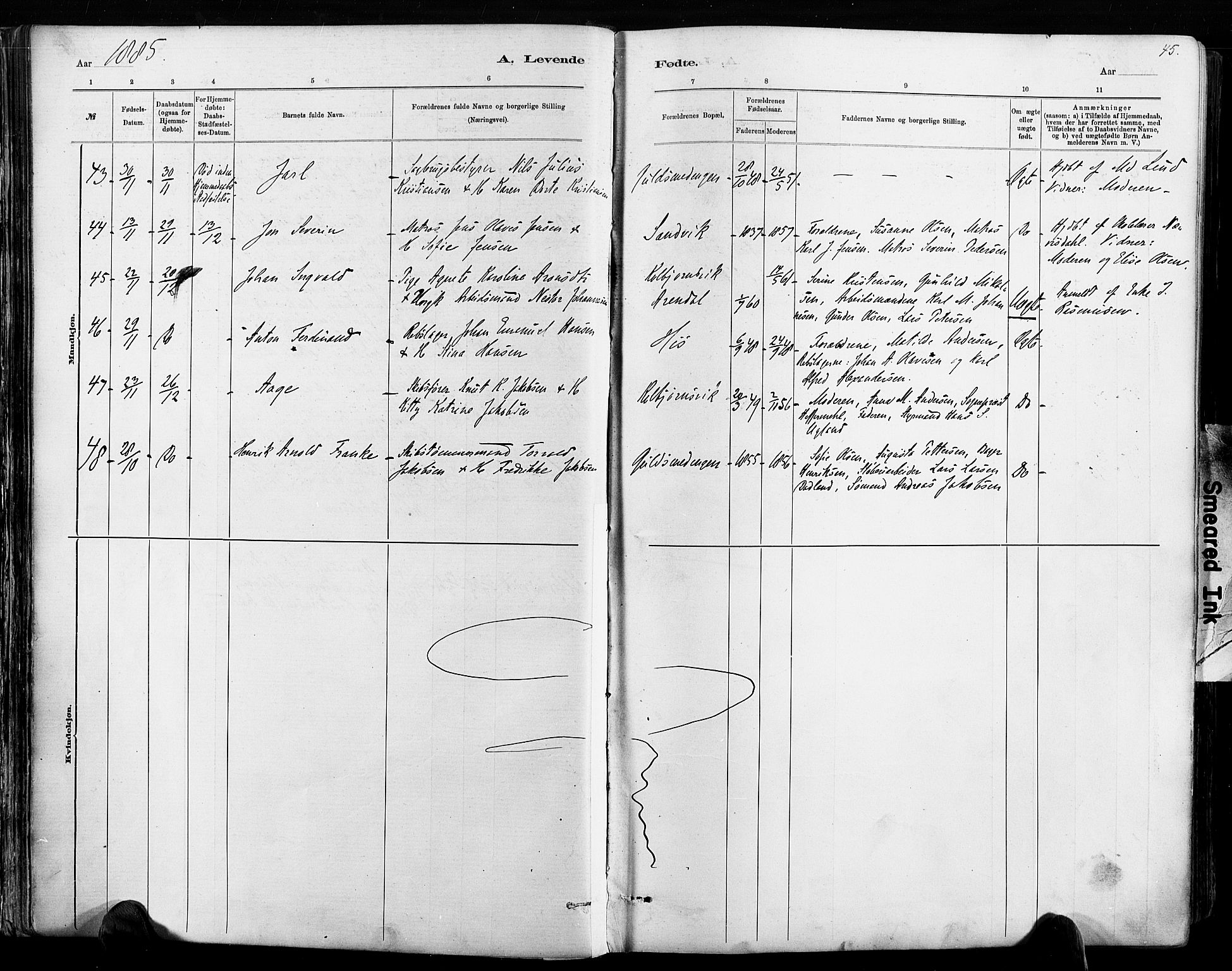 Hisøy sokneprestkontor, SAK/1111-0020/F/Fa/L0003: Parish register (official) no. A 3, 1881-1894, p. 45