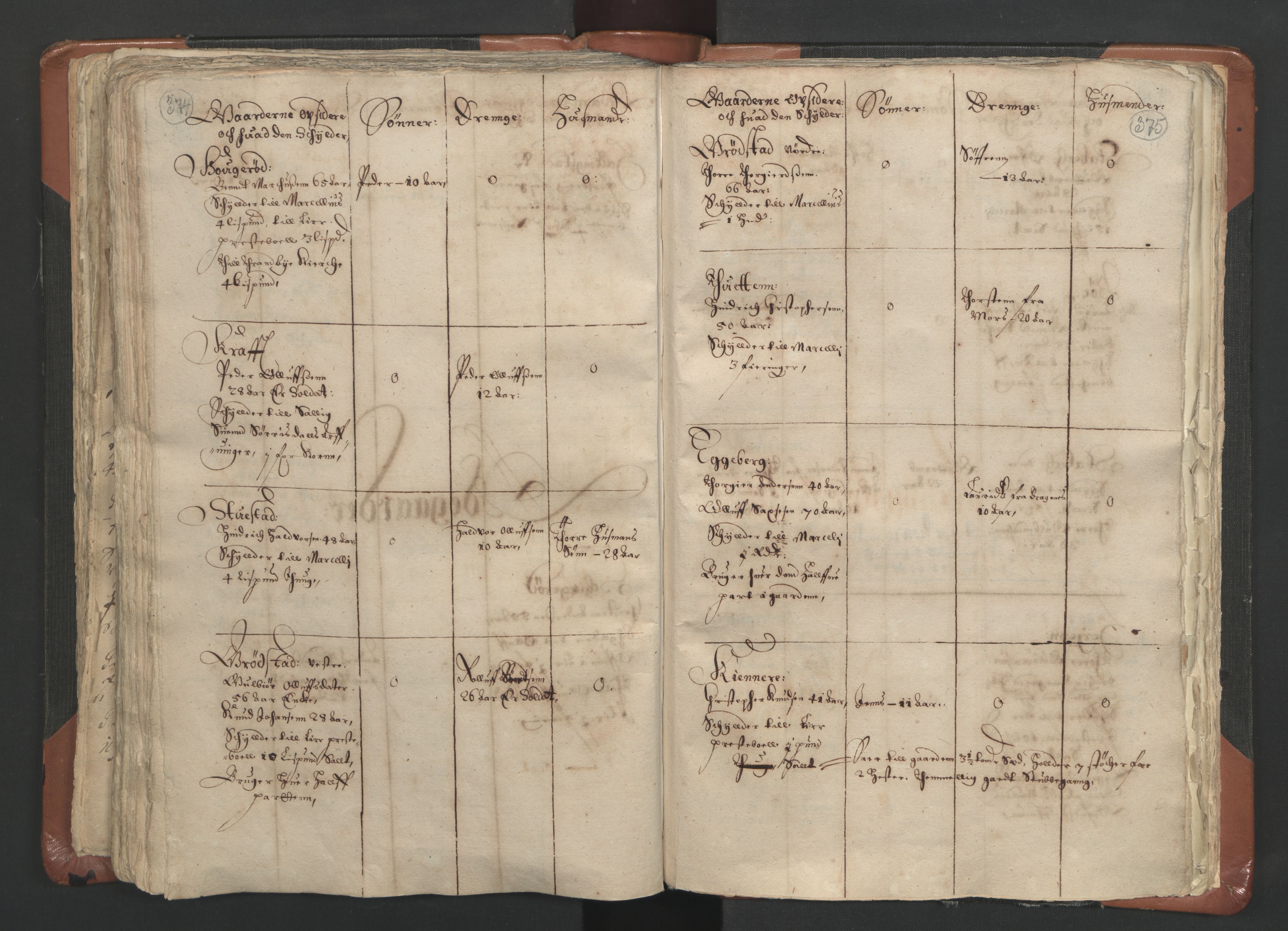 RA, Vicar's Census 1664-1666, no. 9: Bragernes deanery, 1664-1666, p. 374-375