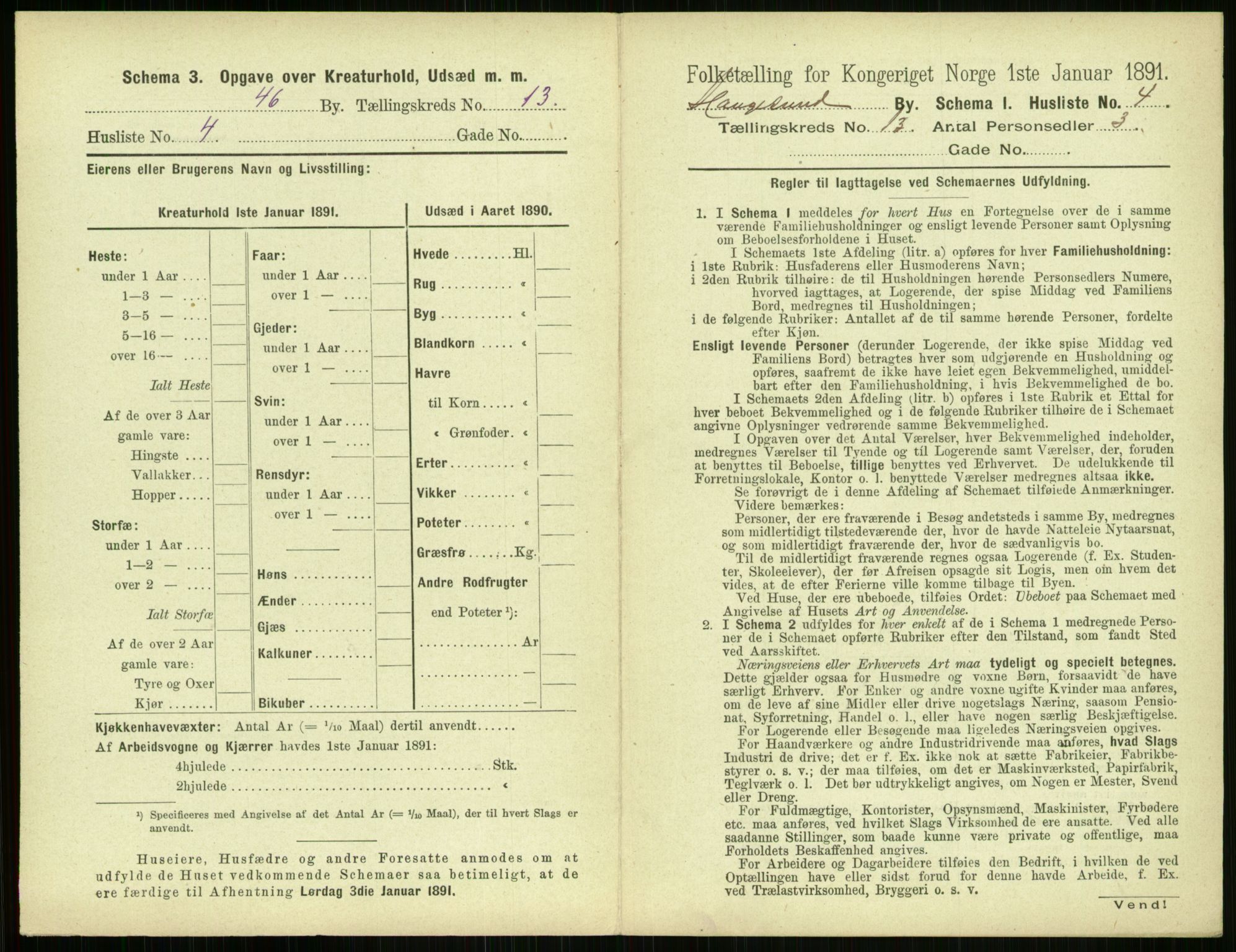 RA, 1891 census for 1106 Haugesund, 1891, p. 846
