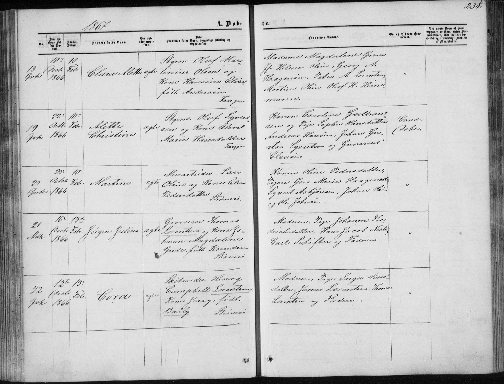 Strømsø kirkebøker, AV/SAKO-A-246/F/Fa/L0015: Parish register (official) no. I 15, 1859-1868, p. 238