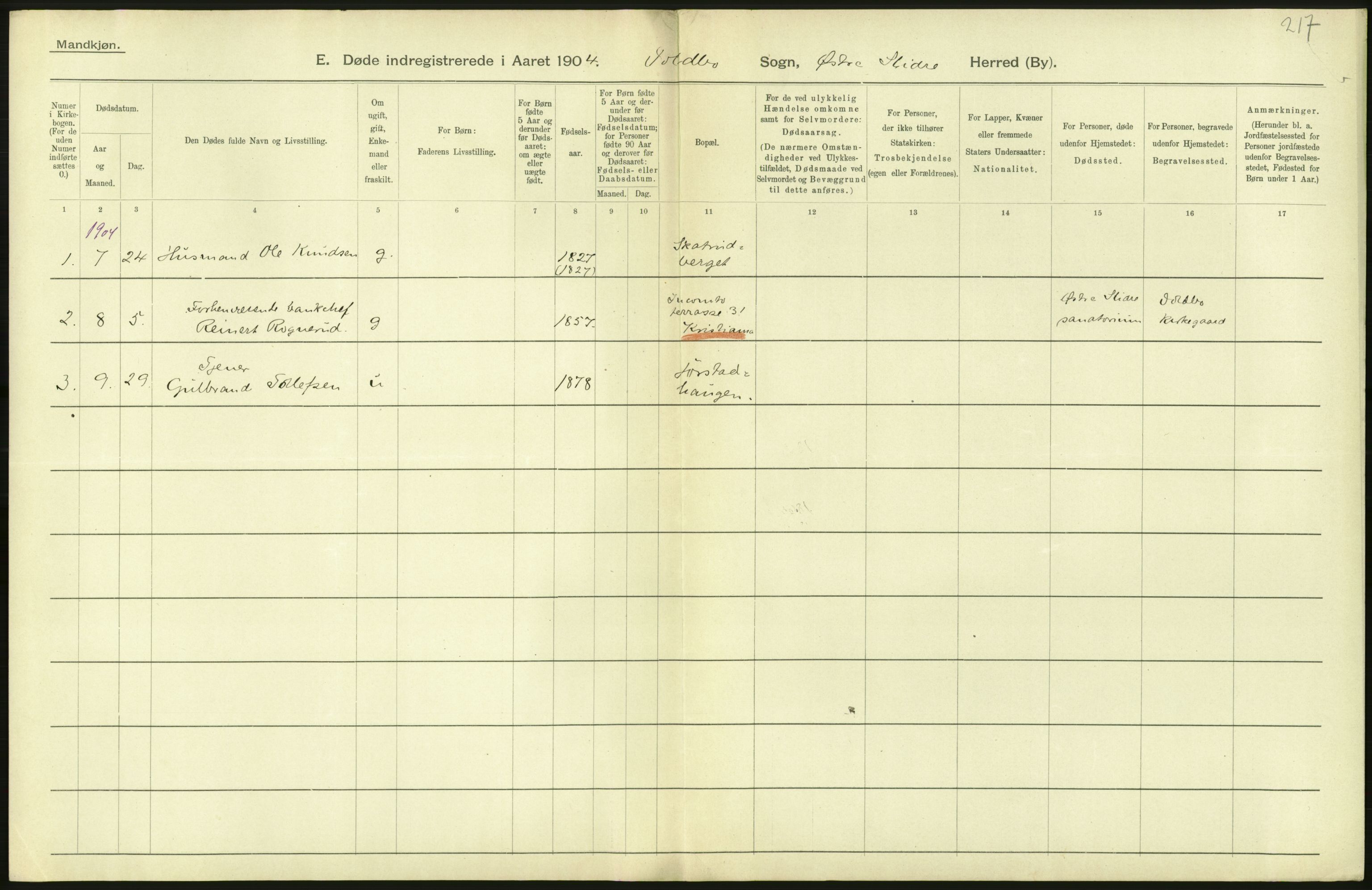 Statistisk sentralbyrå, Sosiodemografiske emner, Befolkning, AV/RA-S-2228/D/Df/Dfa/Dfab/L0006: Kristians amt: Fødte, gifte, døde, 1904, p. 686