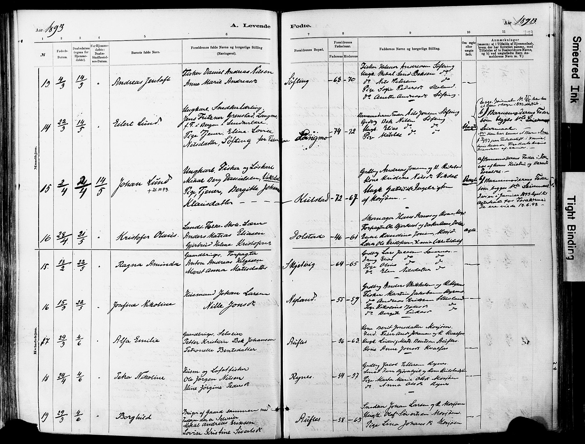 Ministerialprotokoller, klokkerbøker og fødselsregistre - Nordland, AV/SAT-A-1459/820/L0295: Parish register (official) no. 820A16, 1880-1896, p. 119