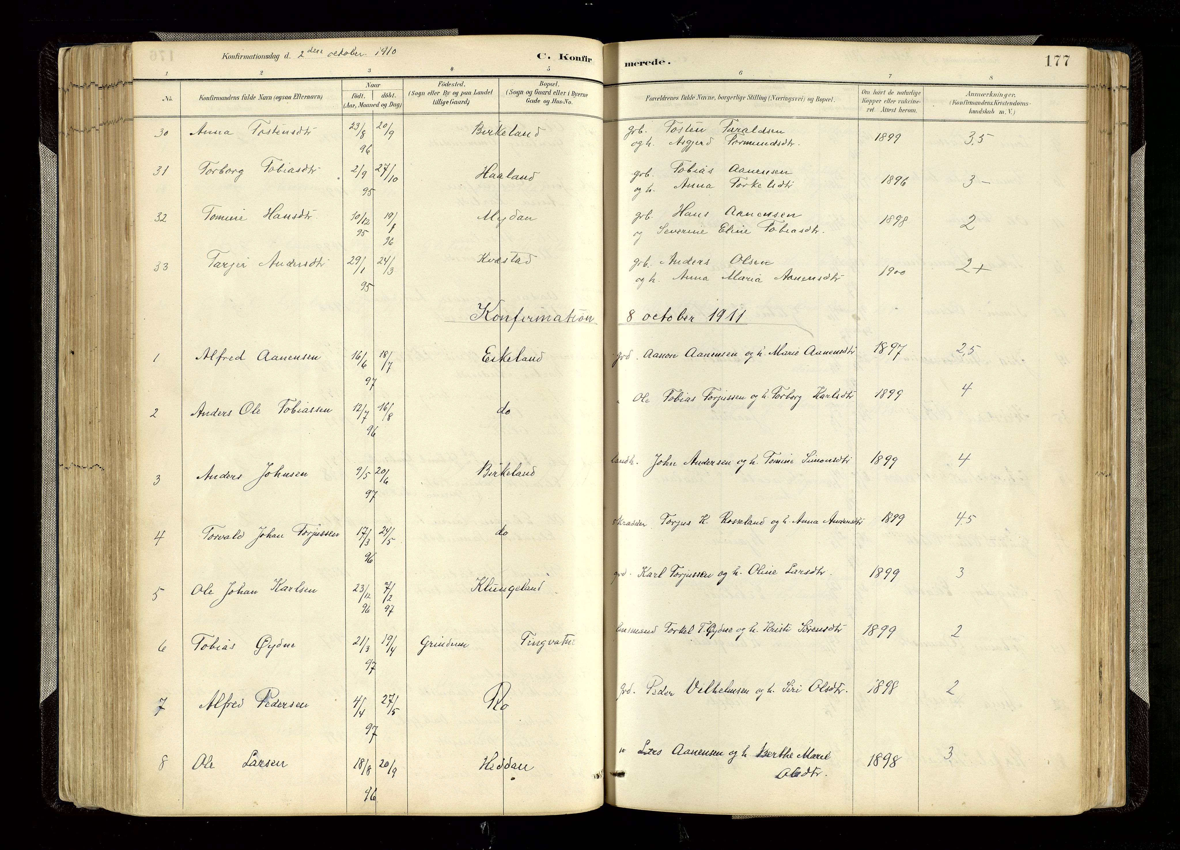 Hægebostad sokneprestkontor, AV/SAK-1111-0024/F/Fa/Faa/L0006: Parish register (official) no. A 6, 1887-1929, p. 177