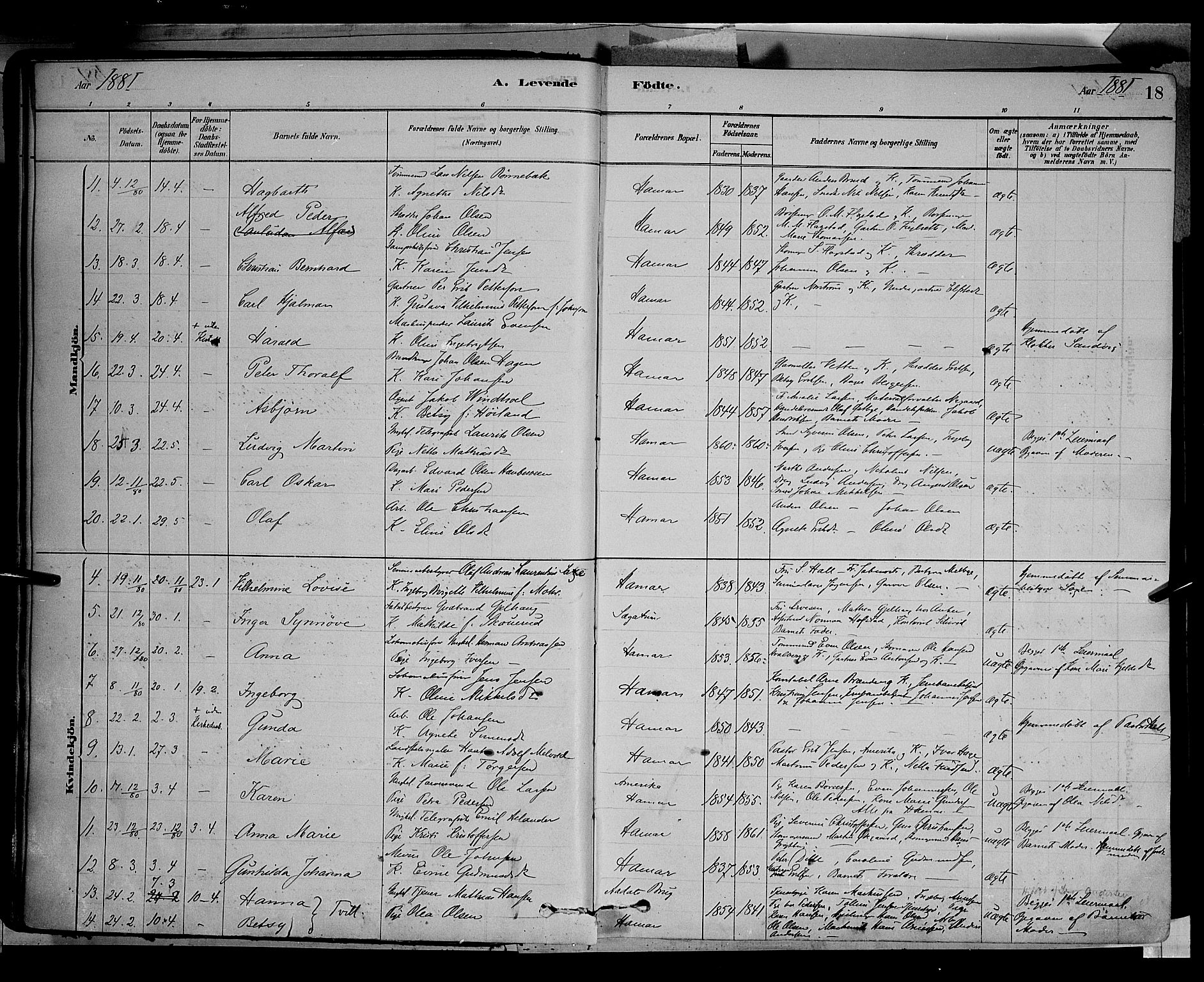 Vang prestekontor, Hedmark, AV/SAH-PREST-008/H/Ha/Haa/L0016: Parish register (official) no. 16, 1878-1889, p. 18