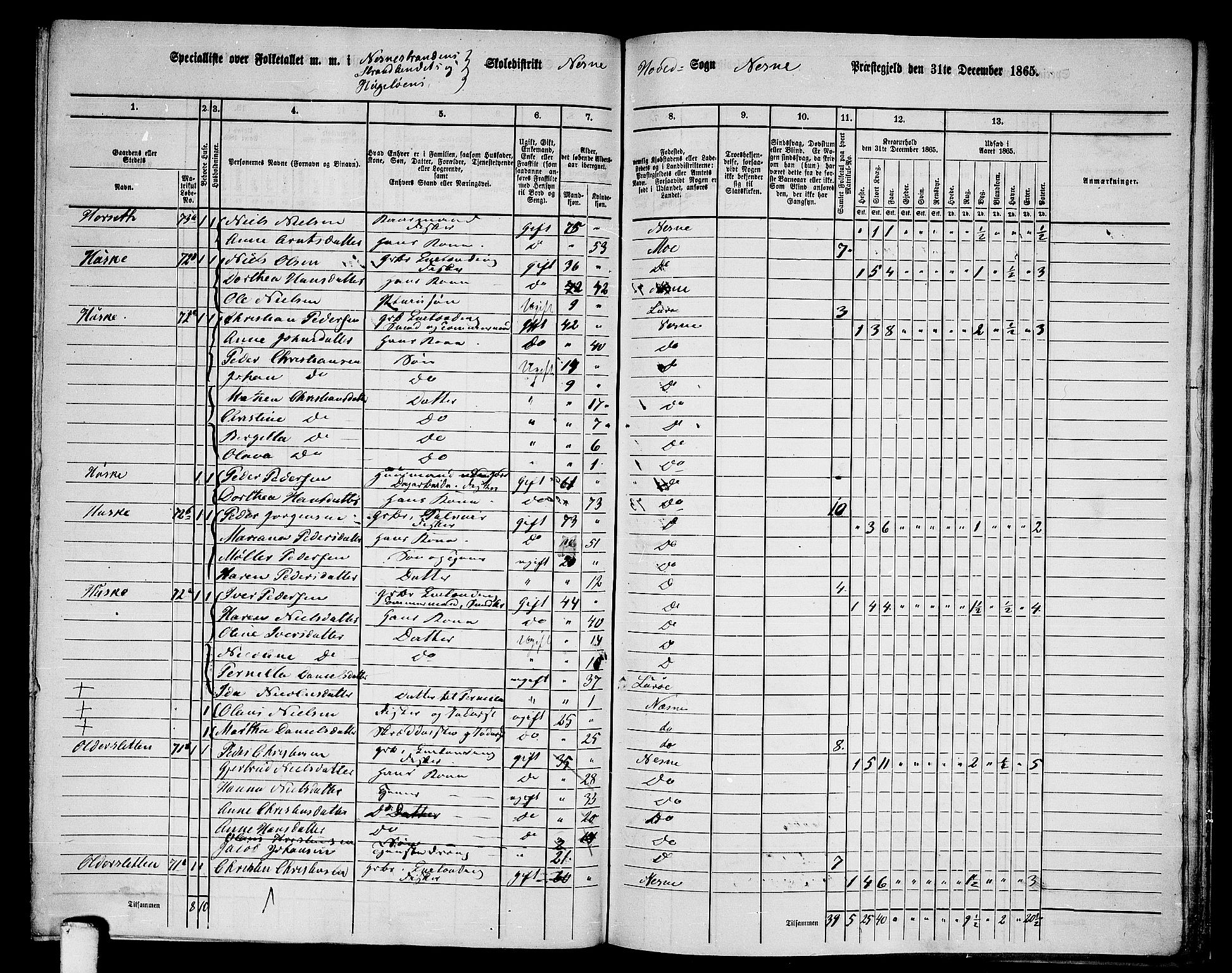 RA, 1865 census for Nesna, 1865, p. 137