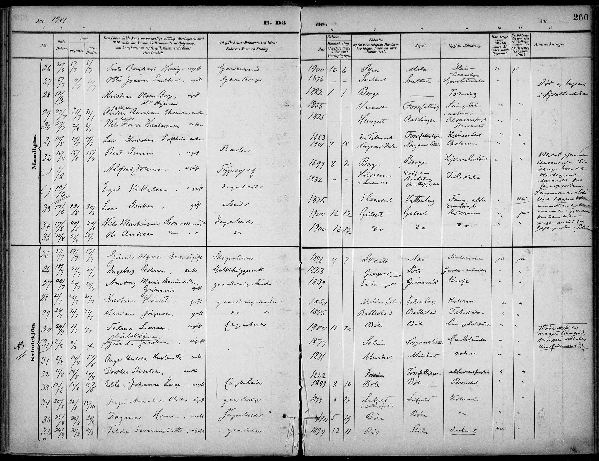 Gjerpen kirkebøker, AV/SAKO-A-265/F/Fa/L0011: Parish register (official) no. I 11, 1896-1904, p. 260