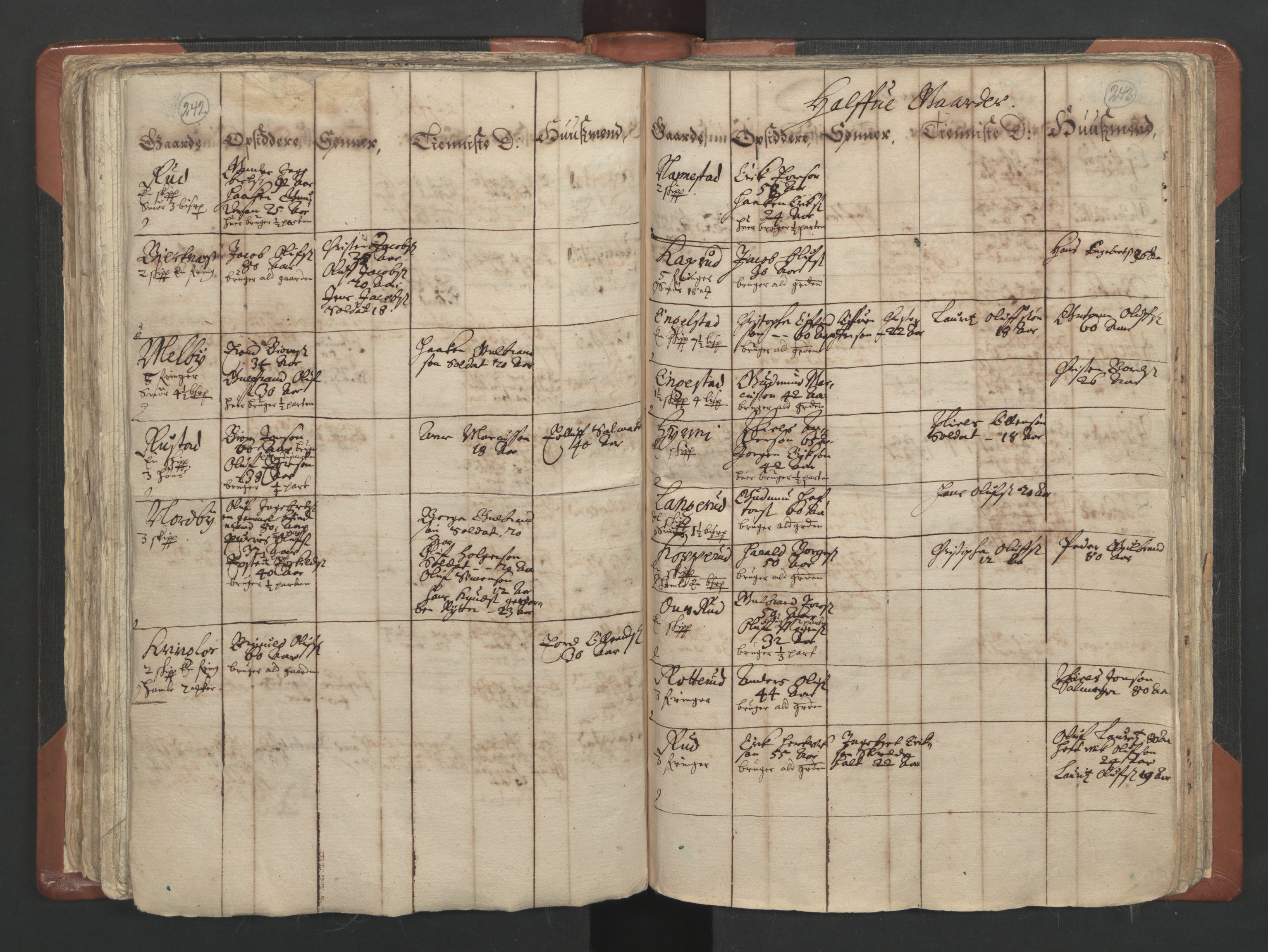 RA, Vicar's Census 1664-1666, no. 4: Øvre Romerike deanery, 1664-1666, p. 242-243