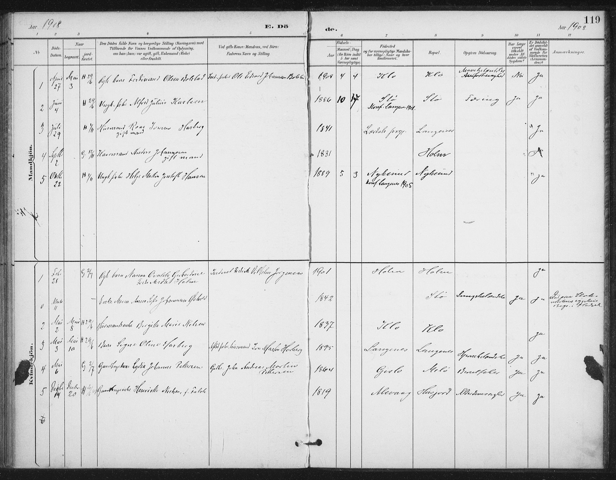 Ministerialprotokoller, klokkerbøker og fødselsregistre - Nordland, AV/SAT-A-1459/894/L1356: Parish register (official) no. 894A02, 1897-1914, p. 119