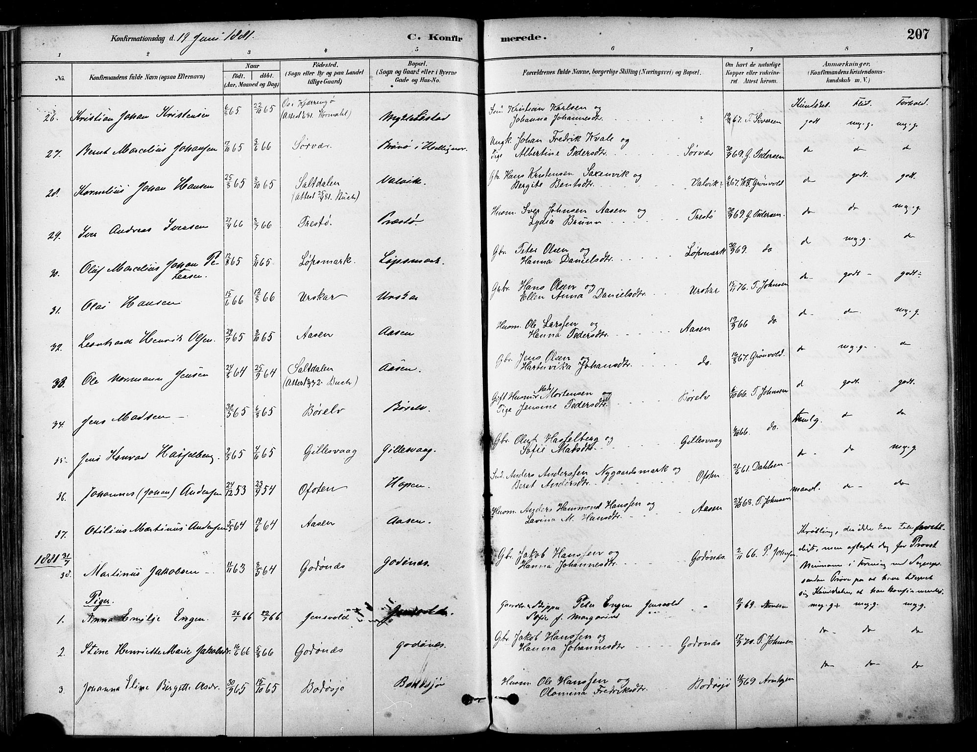 Ministerialprotokoller, klokkerbøker og fødselsregistre - Nordland, SAT/A-1459/802/L0054: Parish register (official) no. 802A01, 1879-1893, p. 207