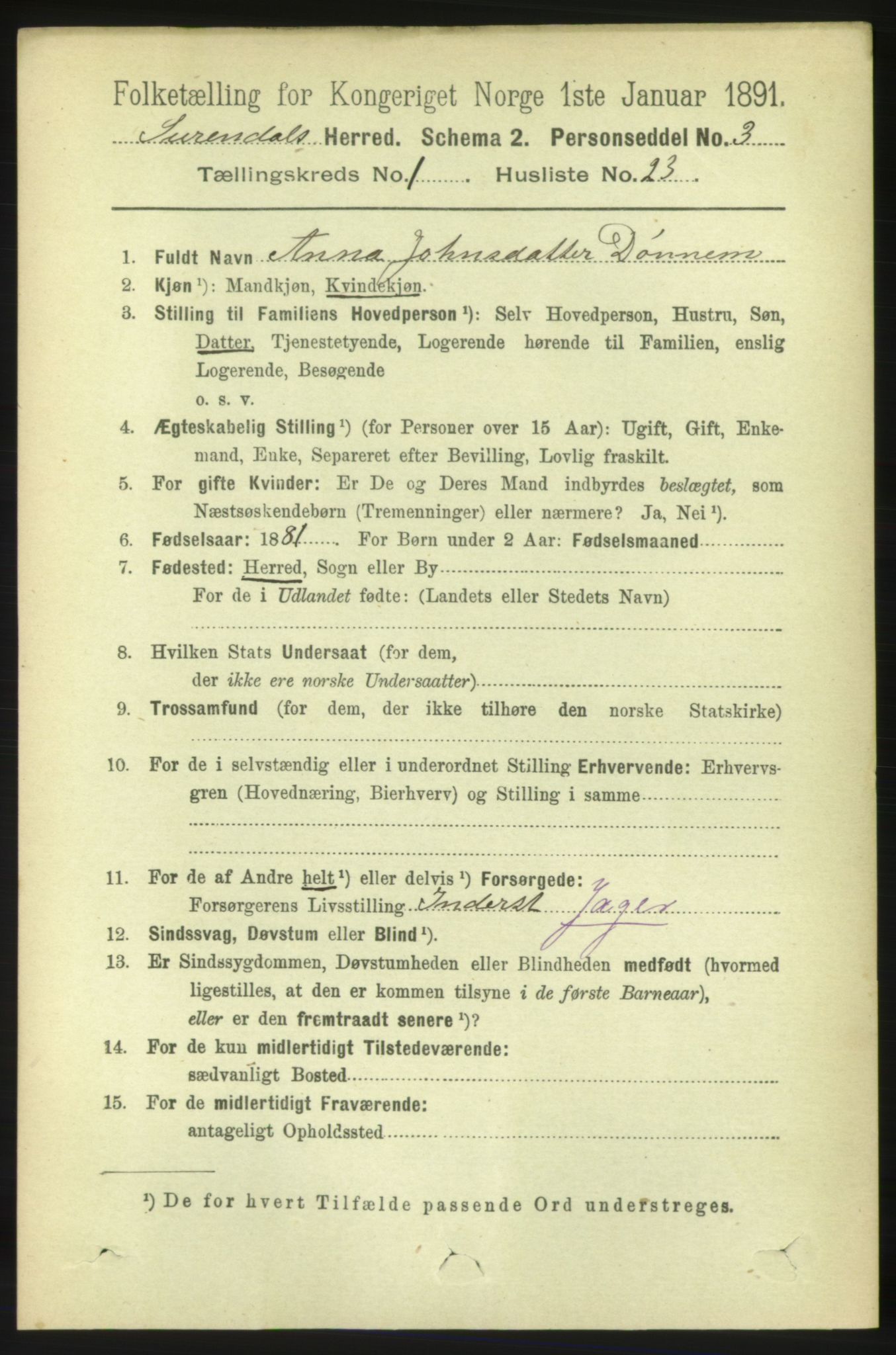 RA, 1891 census for 1566 Surnadal, 1891, p. 262